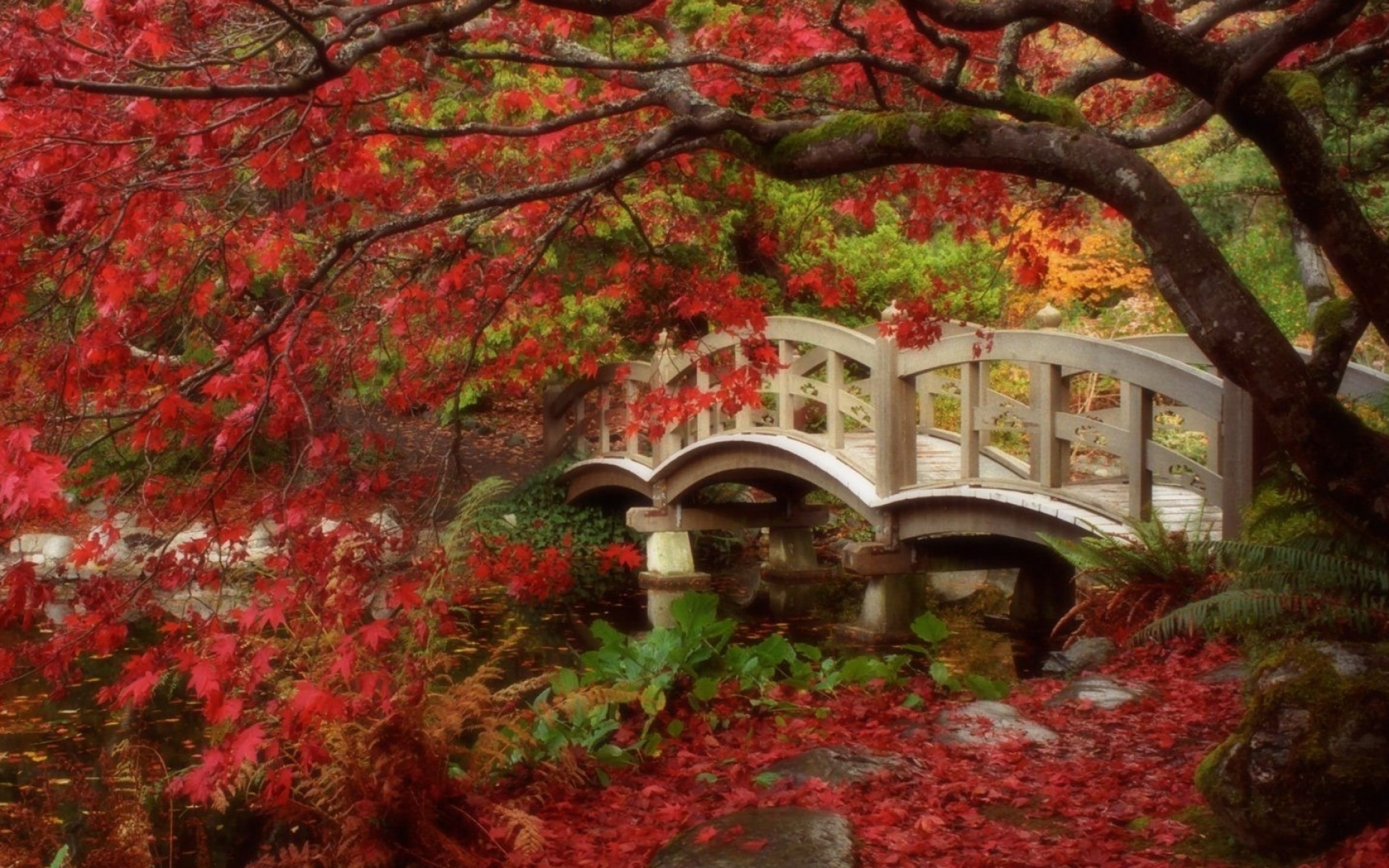 Autumn in Japan HD Wallpaper 13 Retina Macbook Pro