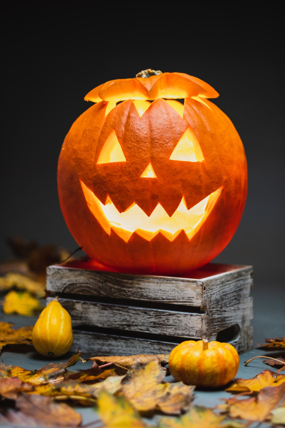 Halloween Pumpkin Picture. Download Free Image