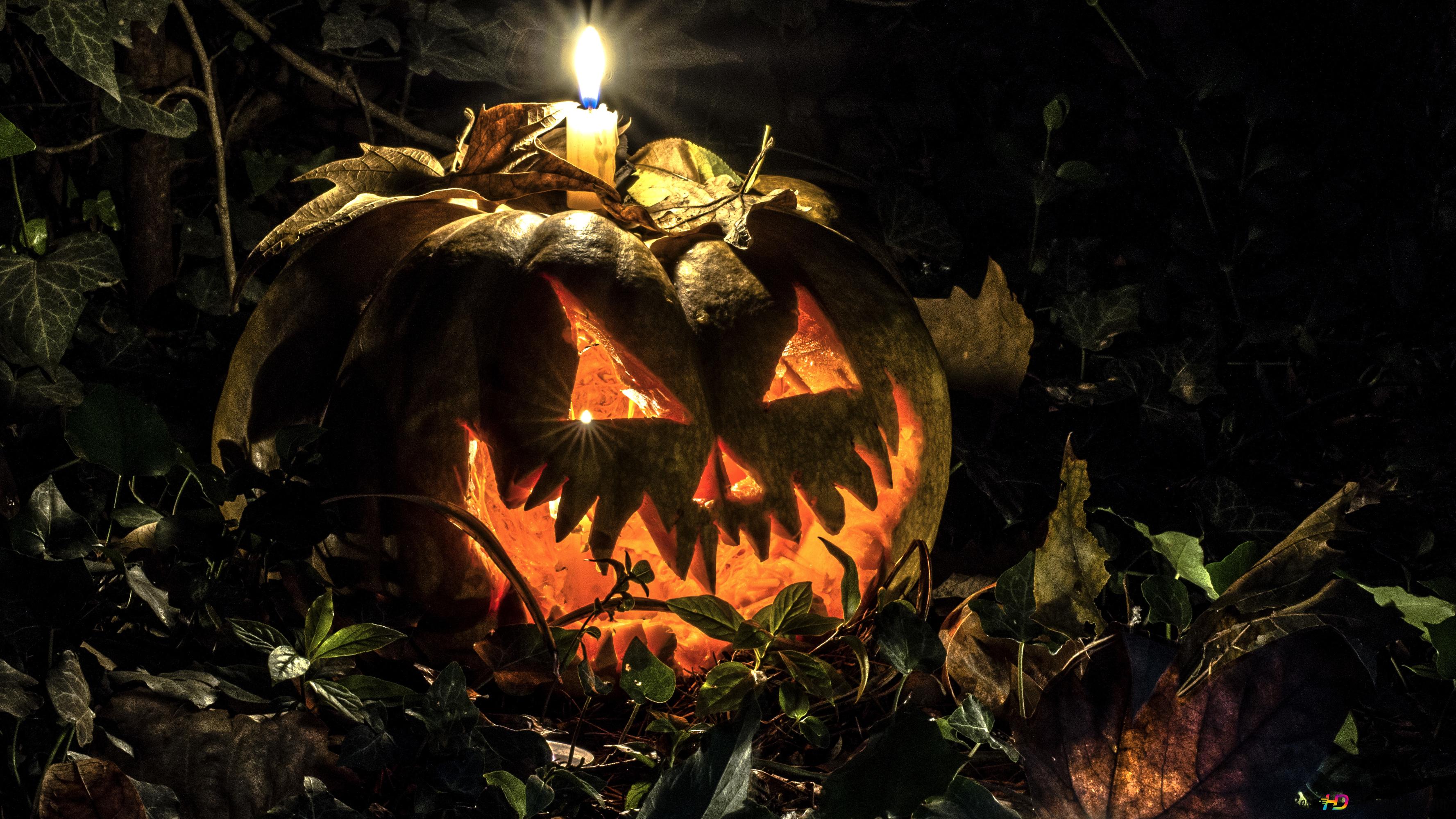 Candle On Halloween Pumpkin Head 4K wallpaper download