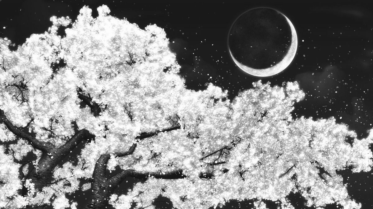 I loose my self in bright moon night, I put my thoughts to sleep in this peac. Monochrome aesthetic wallpaper, Monochrome aesthetic, Aesthetic desktop wallpaper