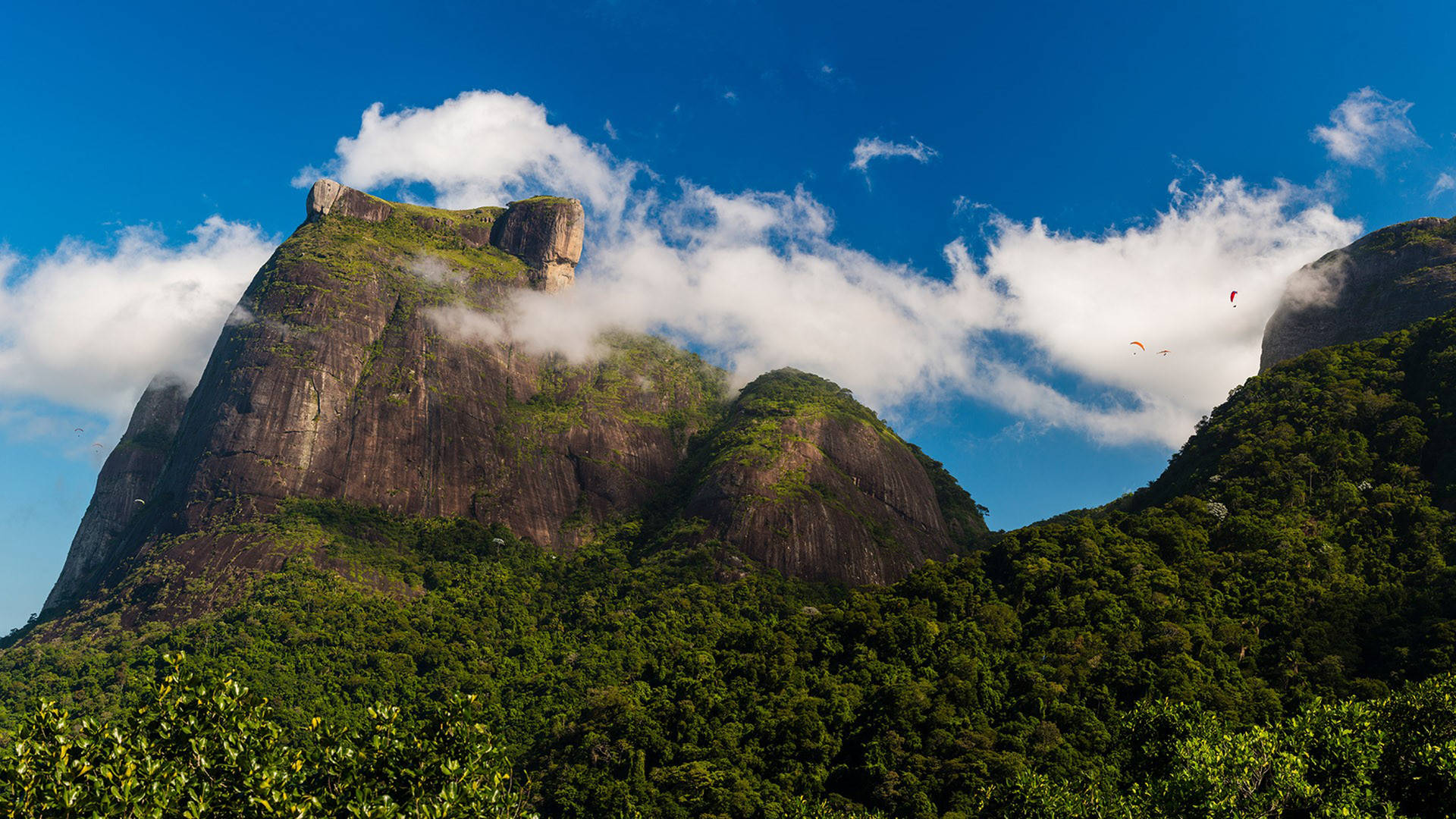 Download Tijuca National Park Brazil Wallpaper