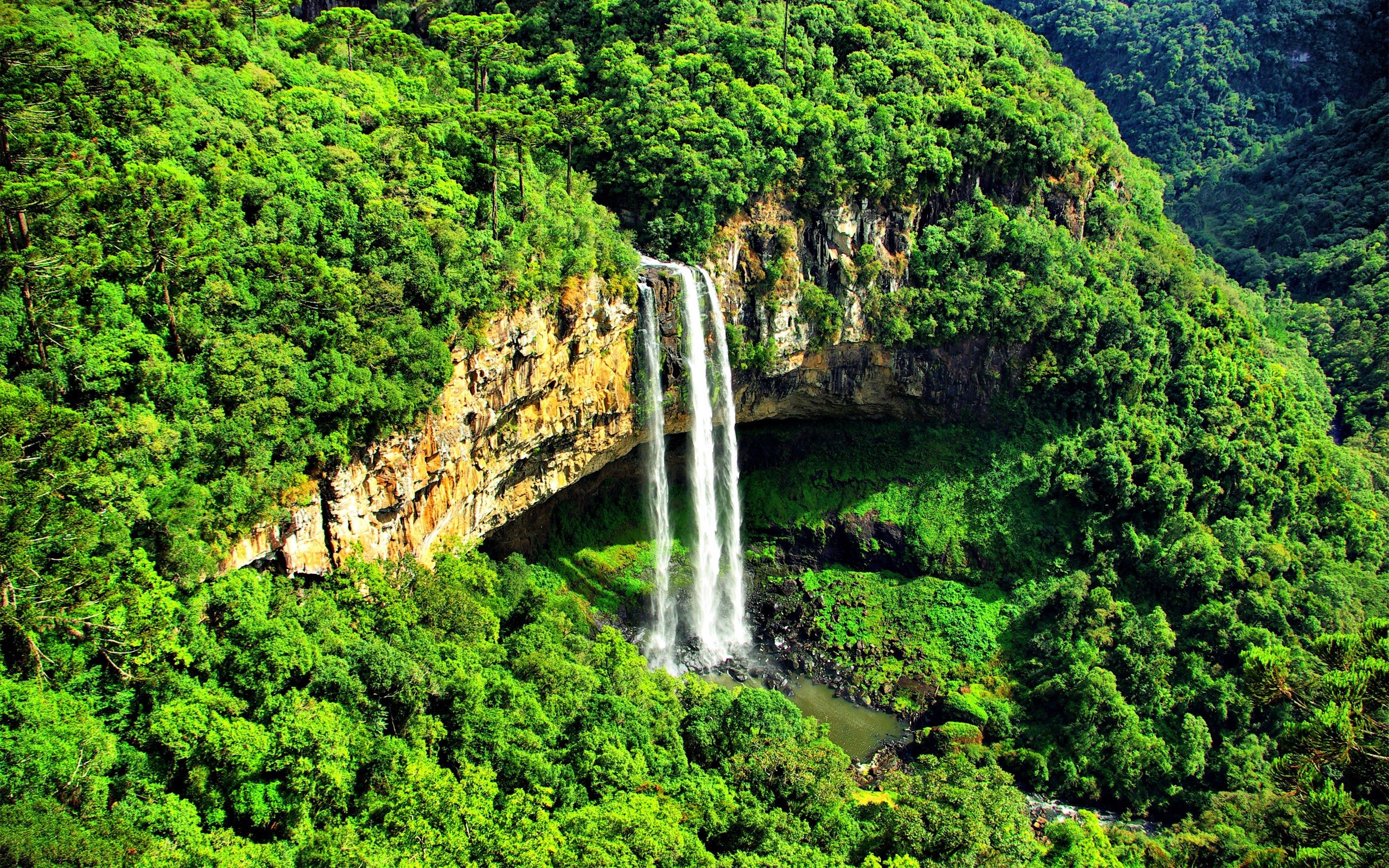 Landscapes trees forest woods jungle mountains wallpaperx1600