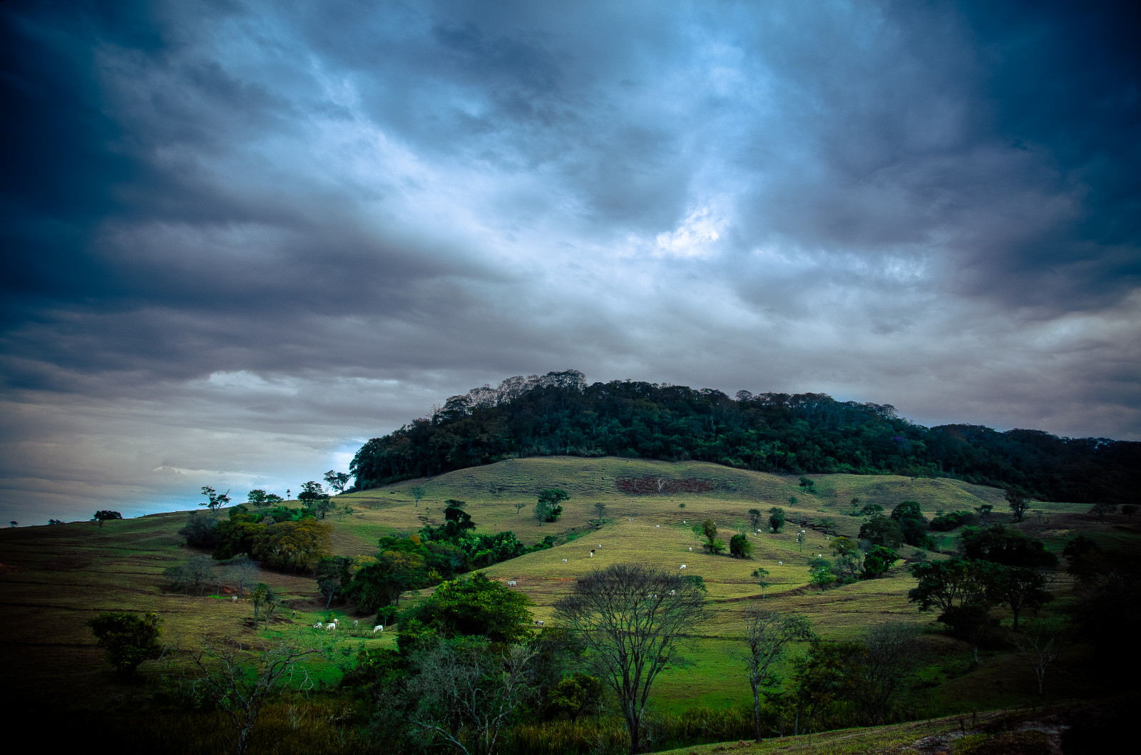 Wallpaper, Brazil, nature, Brasil, Nikon, natureza, d7000 4928x3264