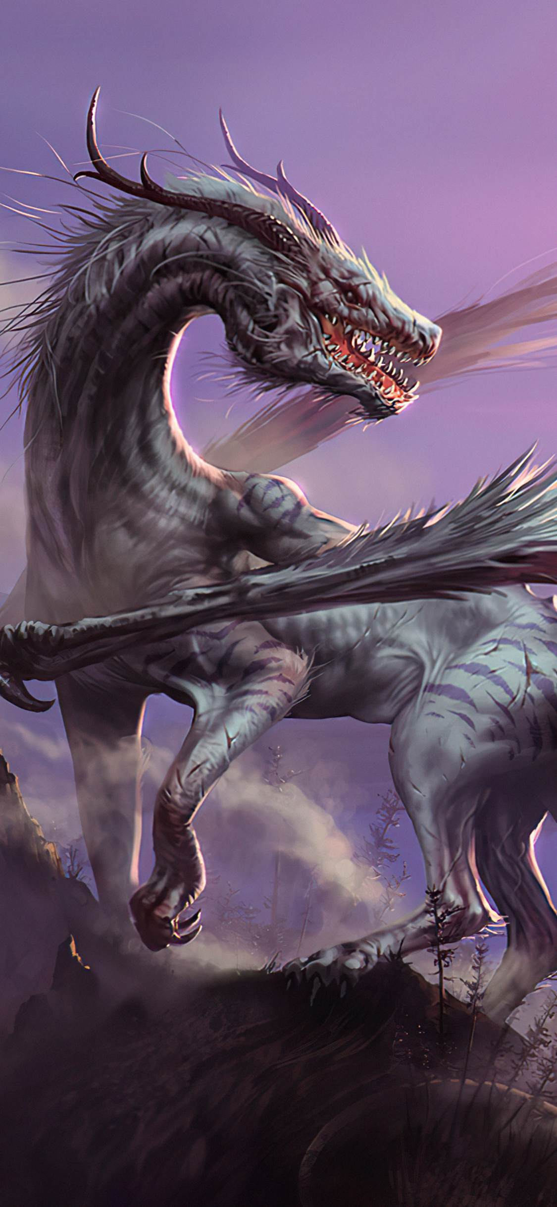White Dragon 4k iPhone XS, iPhone 10, iPhone X HD 4k Wallpaper, Image, Background, Photo and Picture
