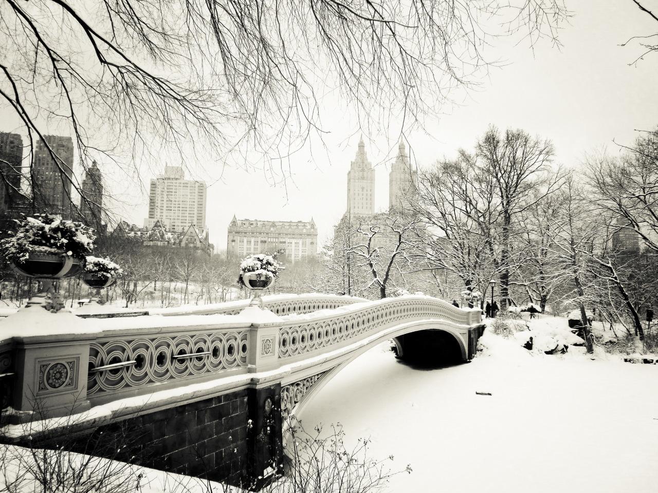Beautiful photo of New York City in the snow by Vivienne Gucwa.Net For Artists