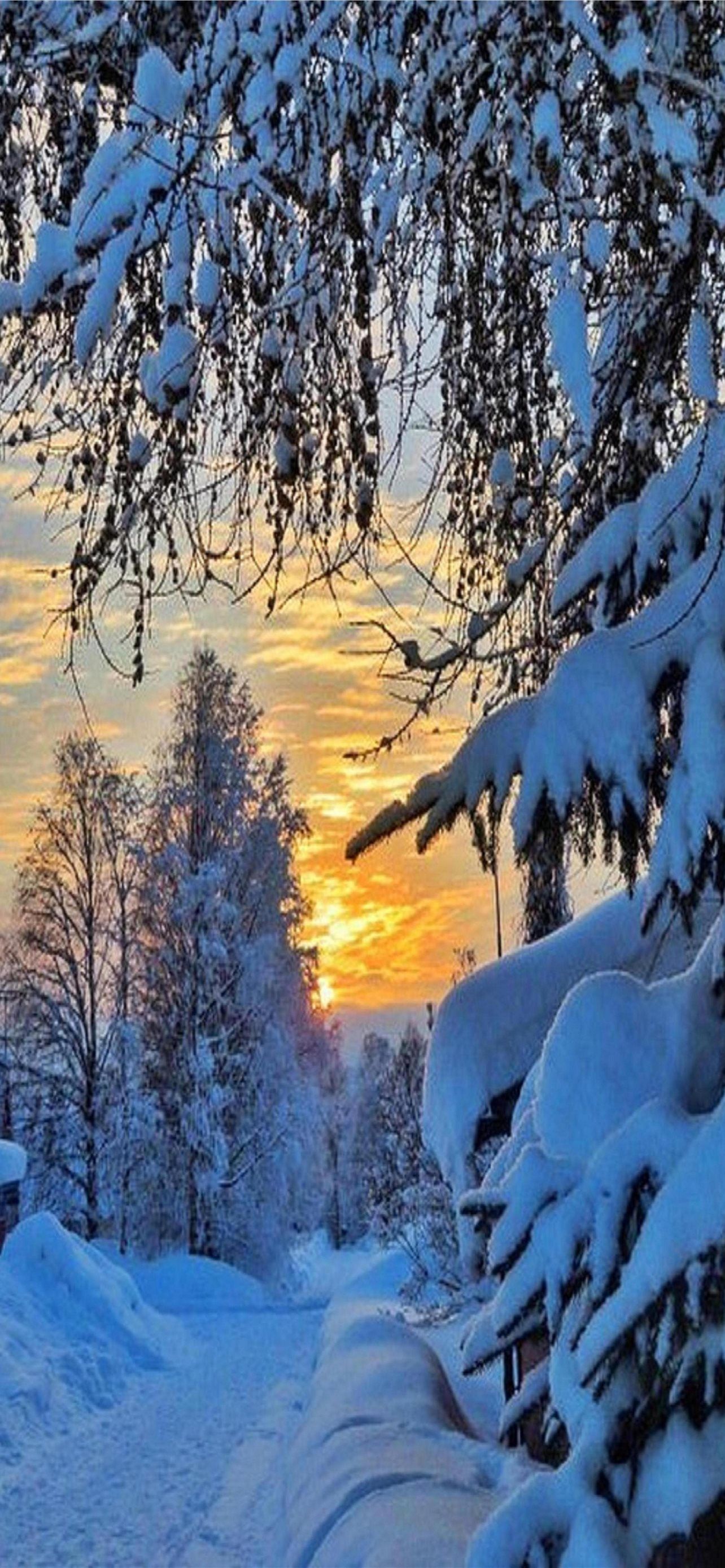 sweden iPhone Wallpaper