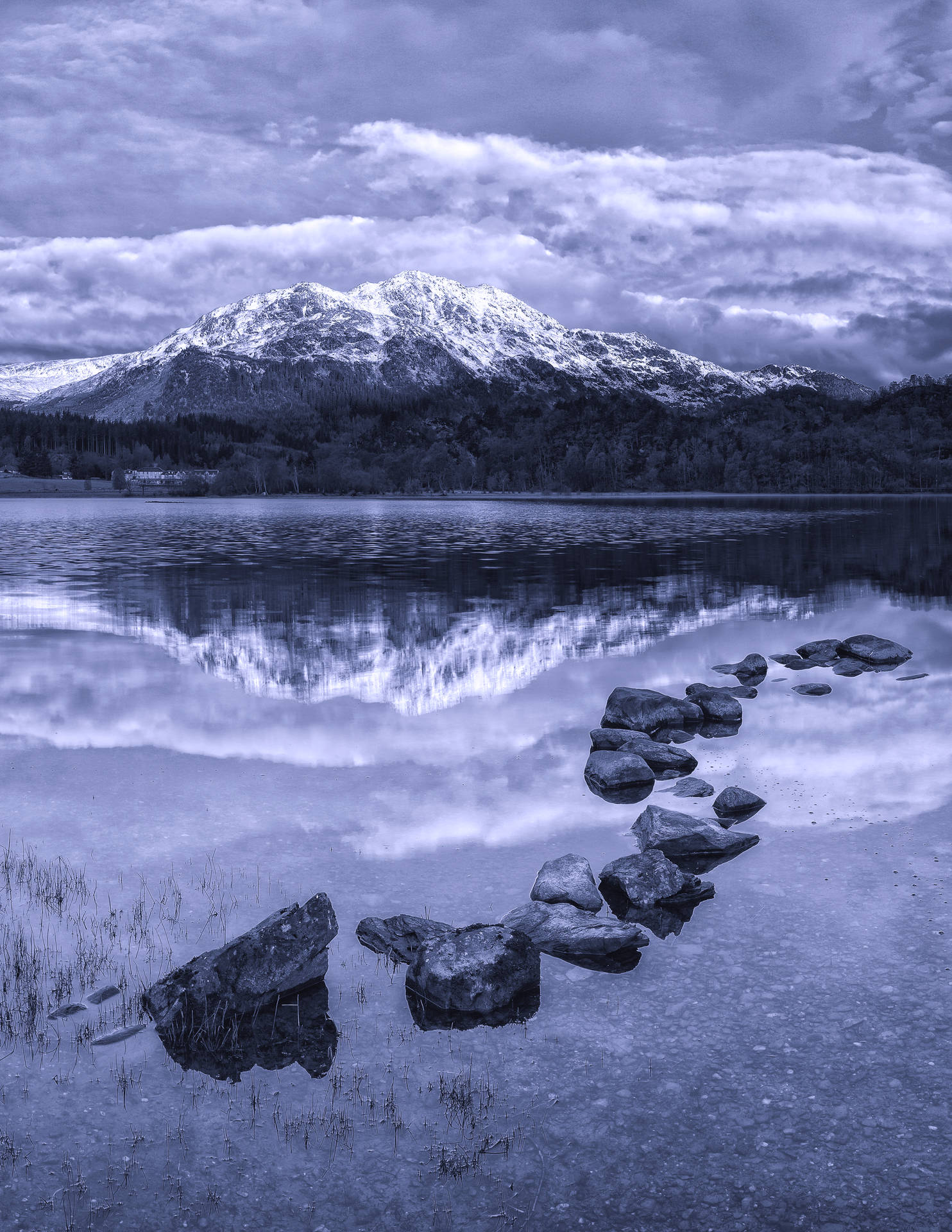 Download Arsenic Tint Scotland Wallpaper