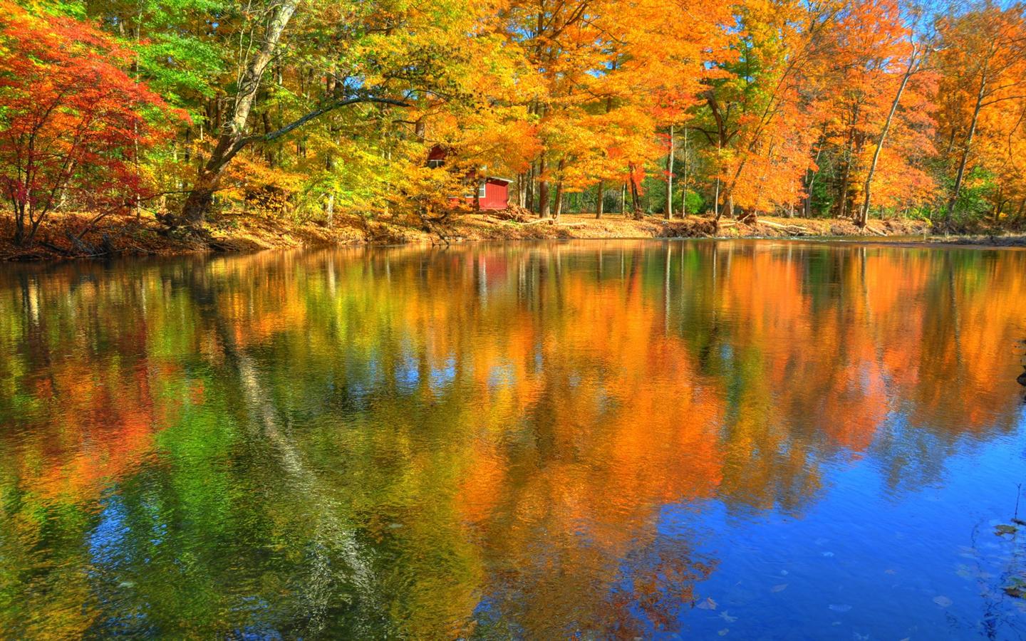 Free download 1440x900 Reflections of Autumn Desktop Wallpaper Background Desktop [1440x900] for your Desktop, Mobile & Tablet. Explore Wallpaper for My Deskx900x900 Wallpaper, 1440x900 HD Wallpaper, HD Wallpaper 1440x900