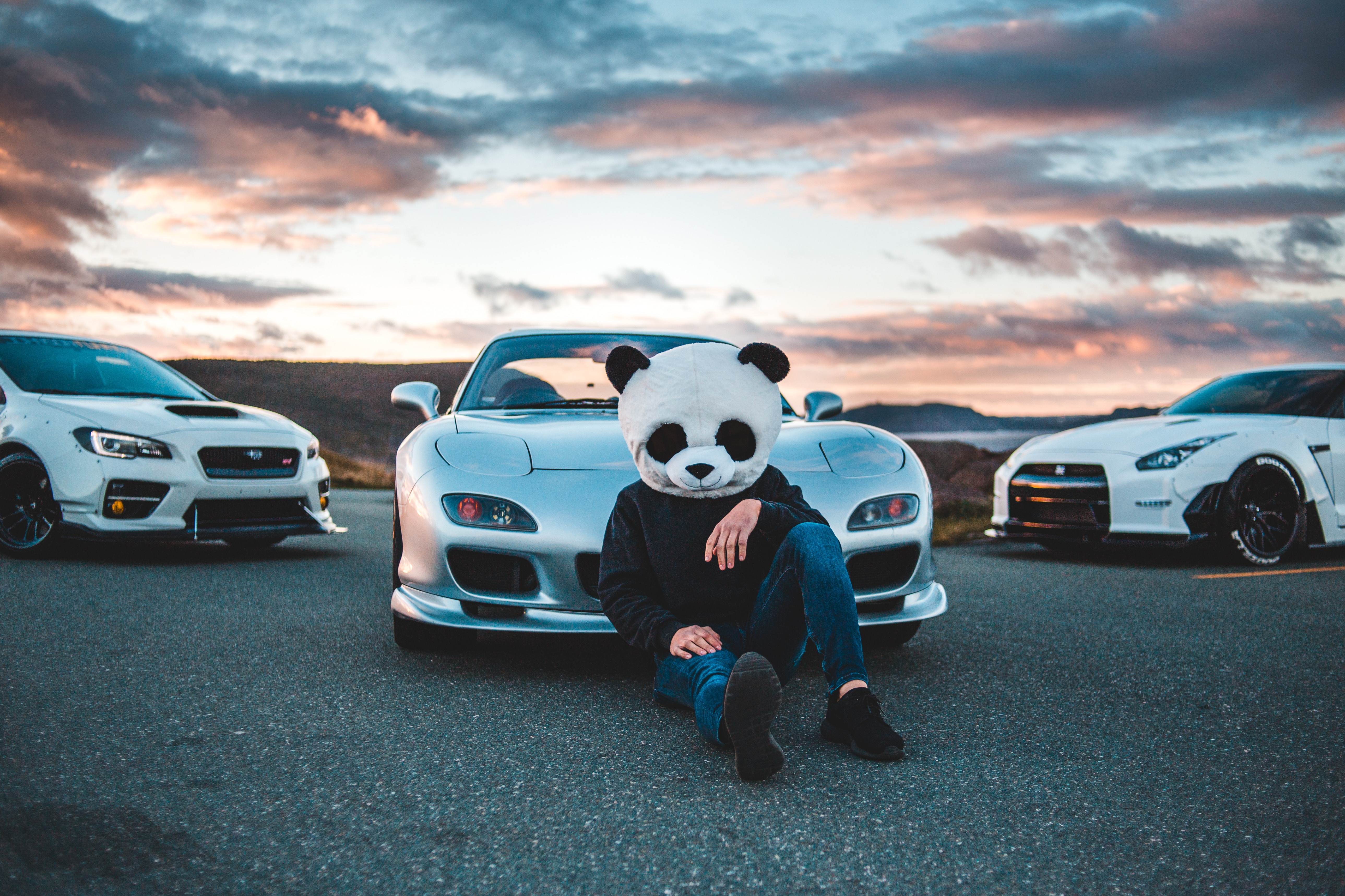 Panda Boy With Cars 5k 1440P Resolution HD 4k Wallpaper, Image, Background, Photo and Picture