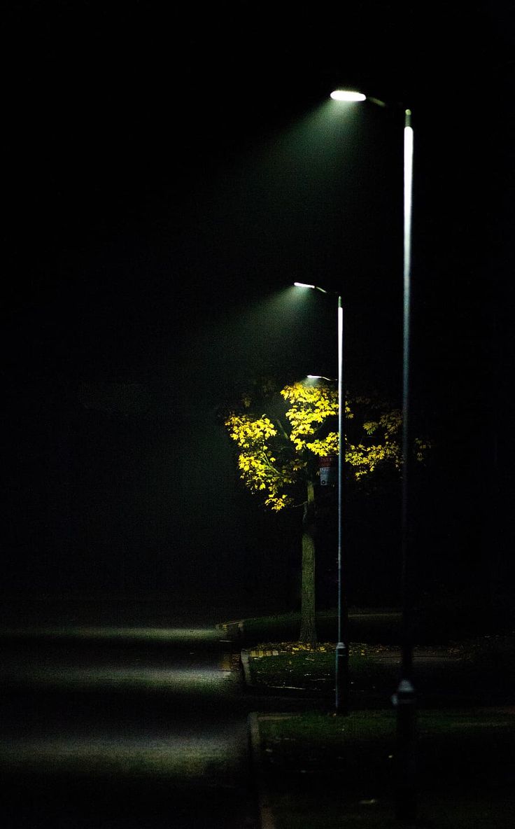 streetlight, mist, road light, scene, autumn, outdoor, night, lights. Piqsels. iPhone wallpaper HD nature, Night street photography, Dark phone wallpaper