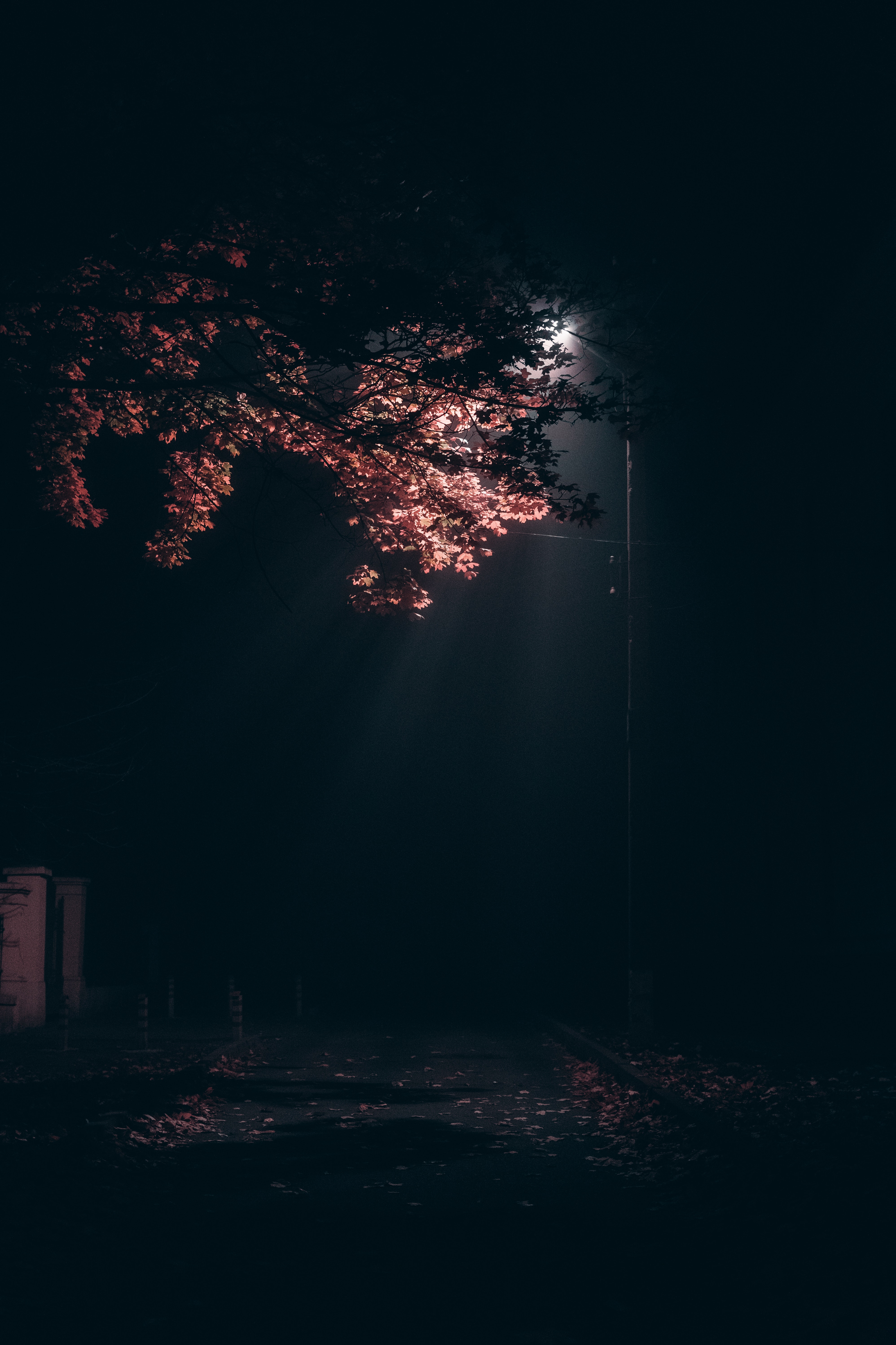 Street Light Photo, Download The BEST Free Street Light & HD Image