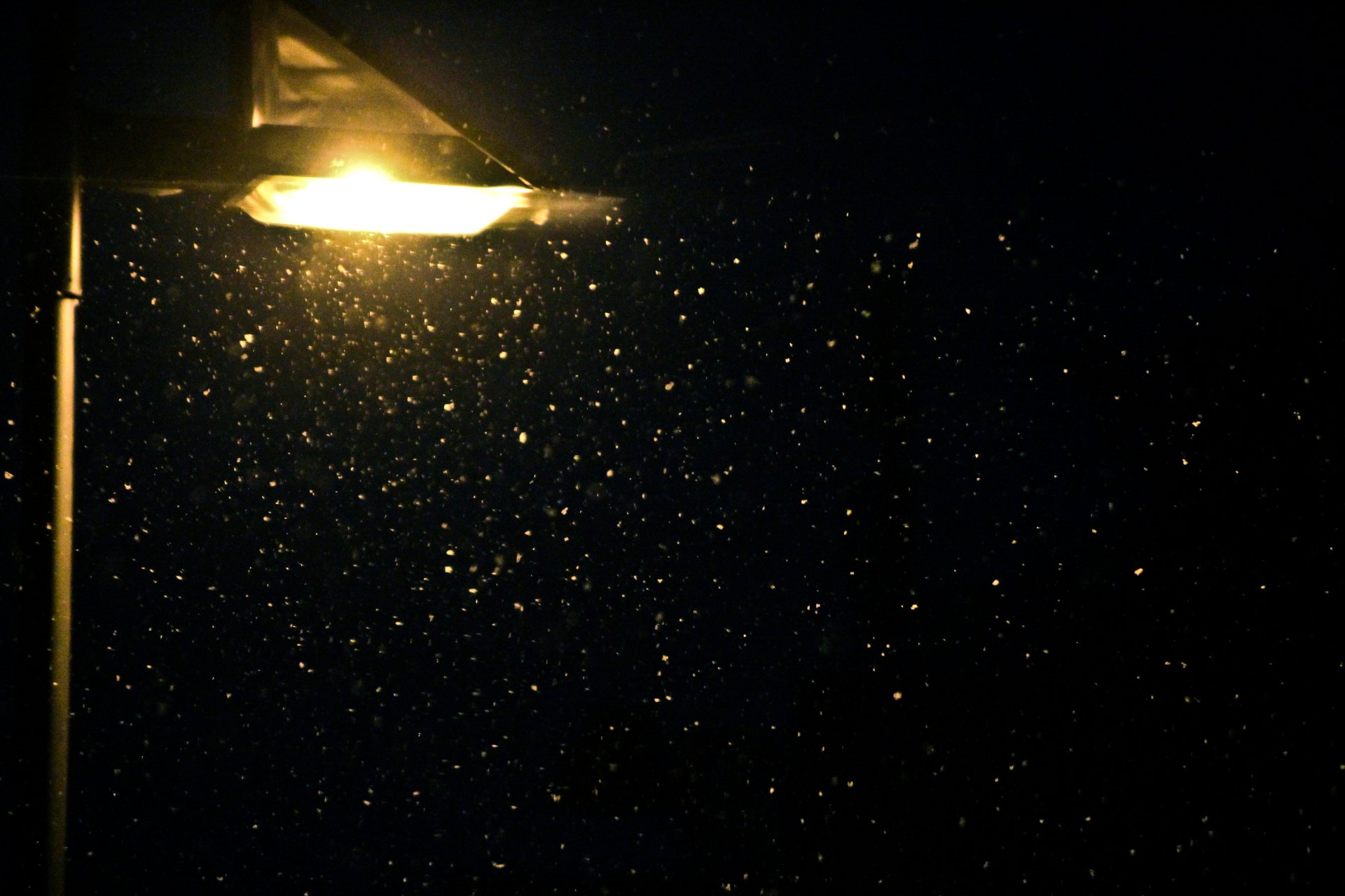 Lamp Post HD Wallpaper and Background