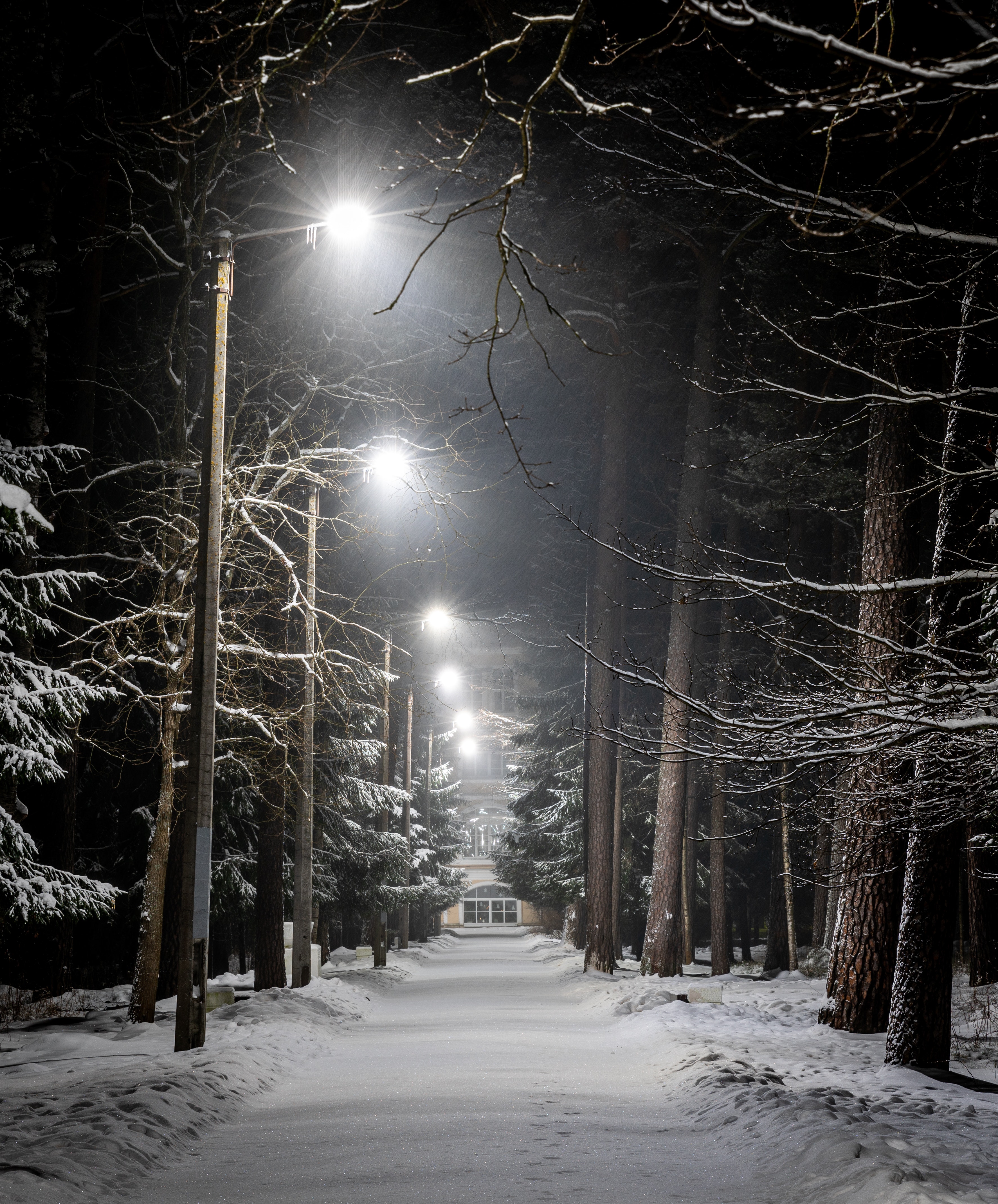 Street Lights Photo, Download The BEST Free Street Lights & HD Image