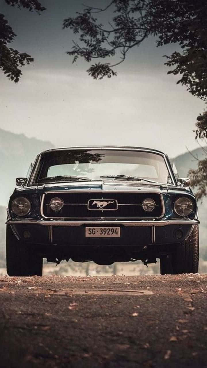 Download Ford Mustang Vintage Sports
