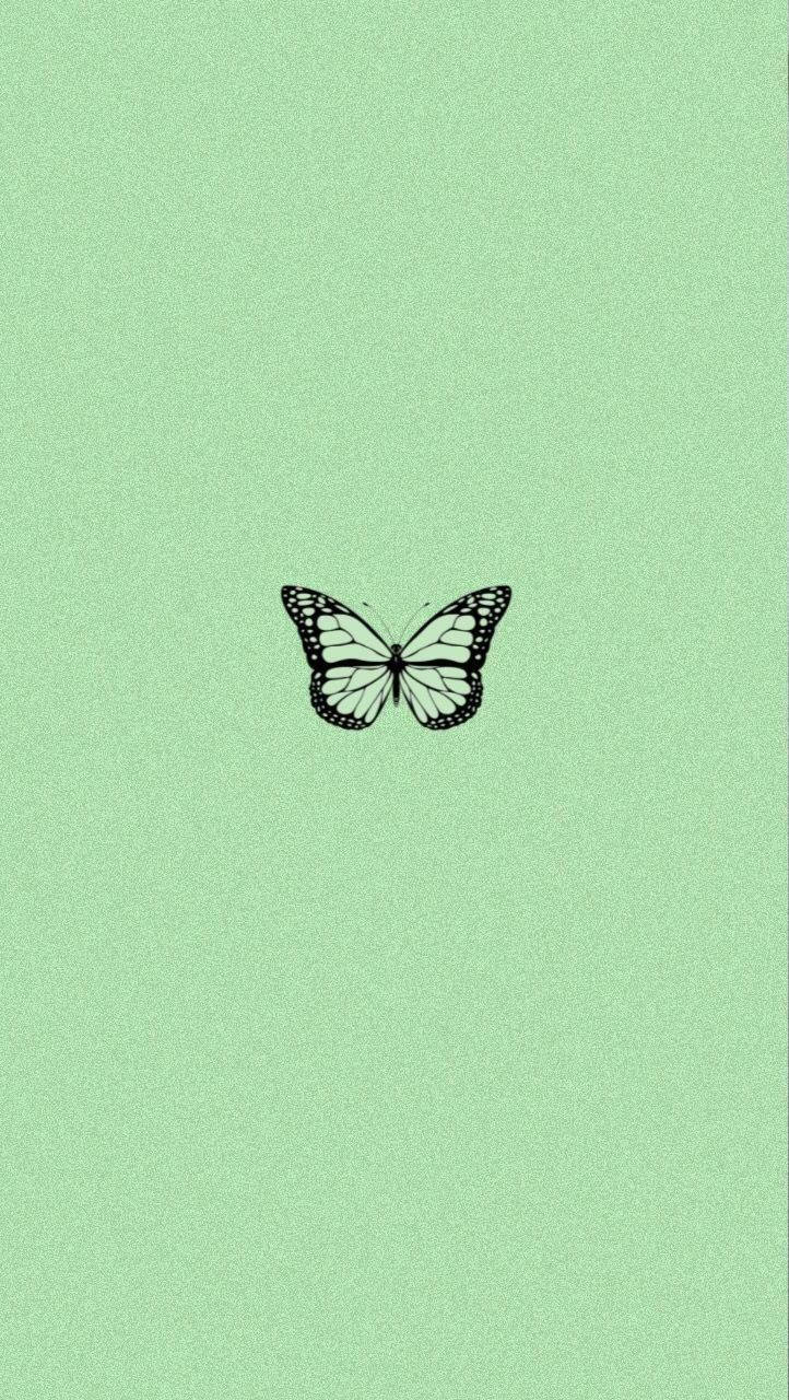 Download Minimalist Butterfly Mint