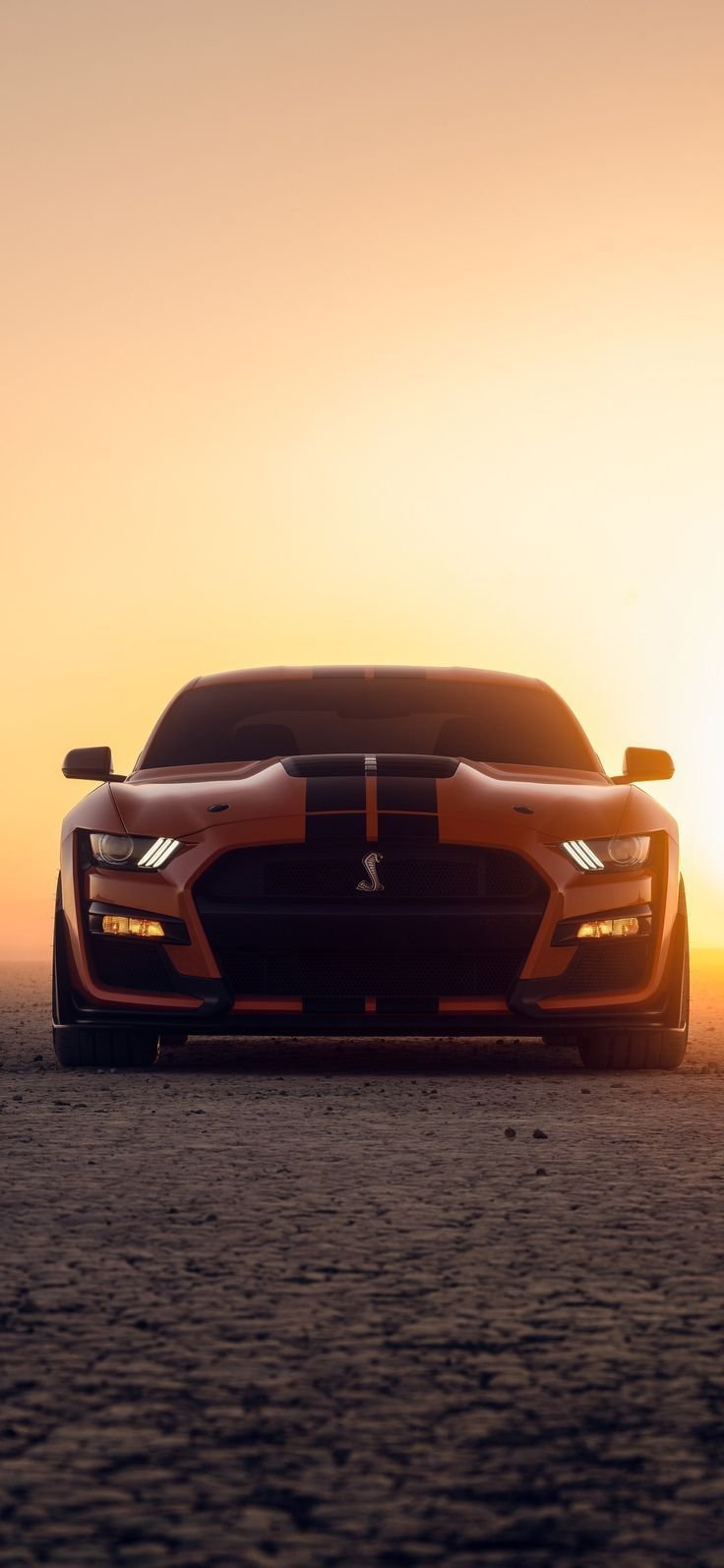 Mustang shelby cobra Wallpaper