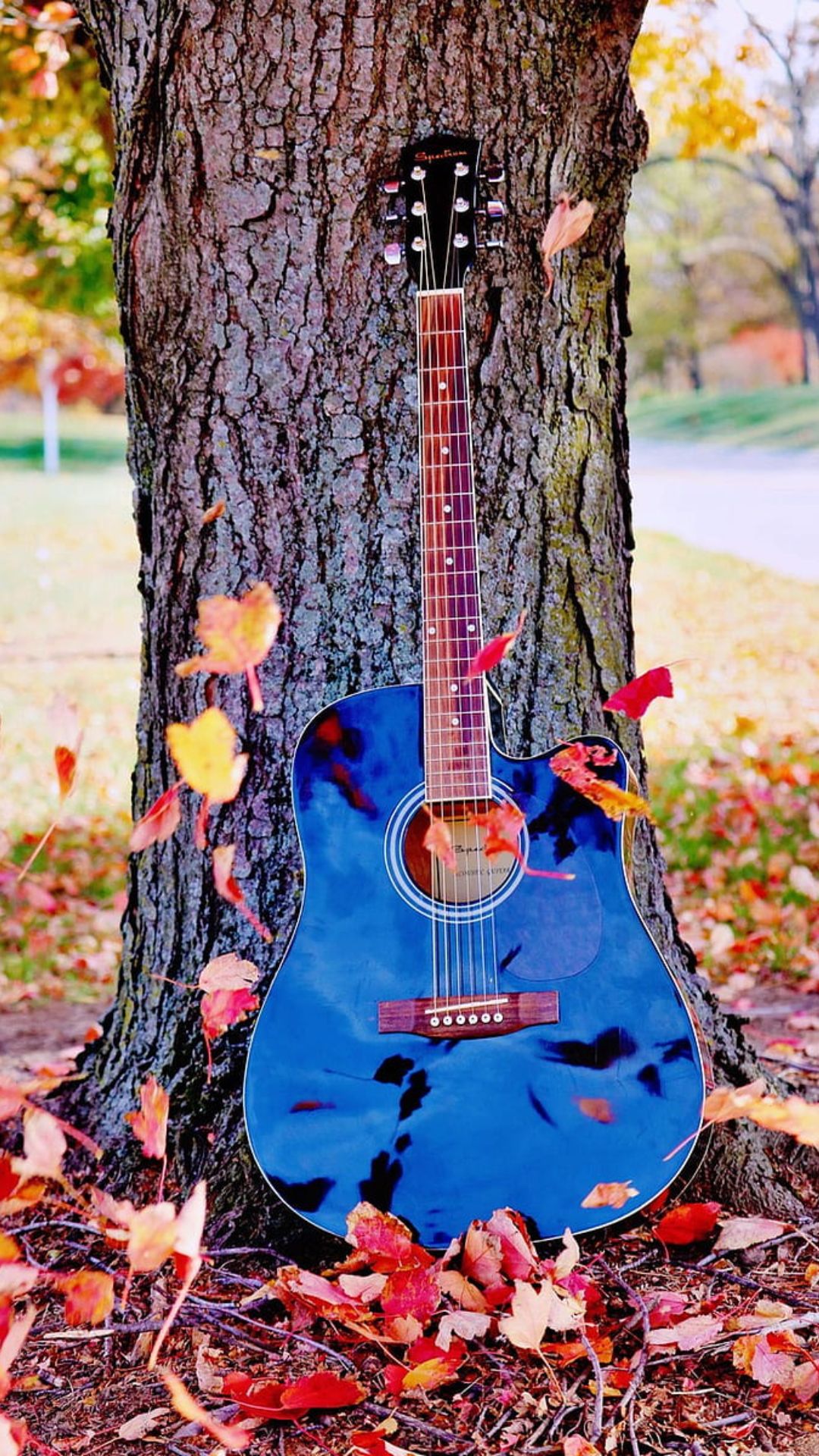 Guitar Wallpaper Guitar Wallpaper Download