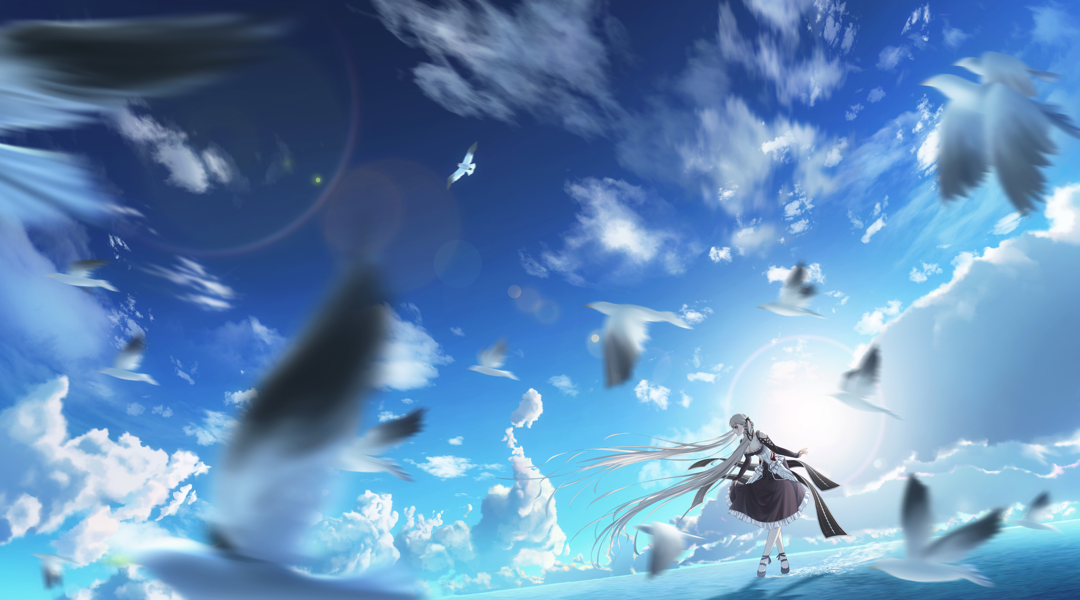 Anime girl on a background of blue sky with birds Desktop wallpaper 1680x1050