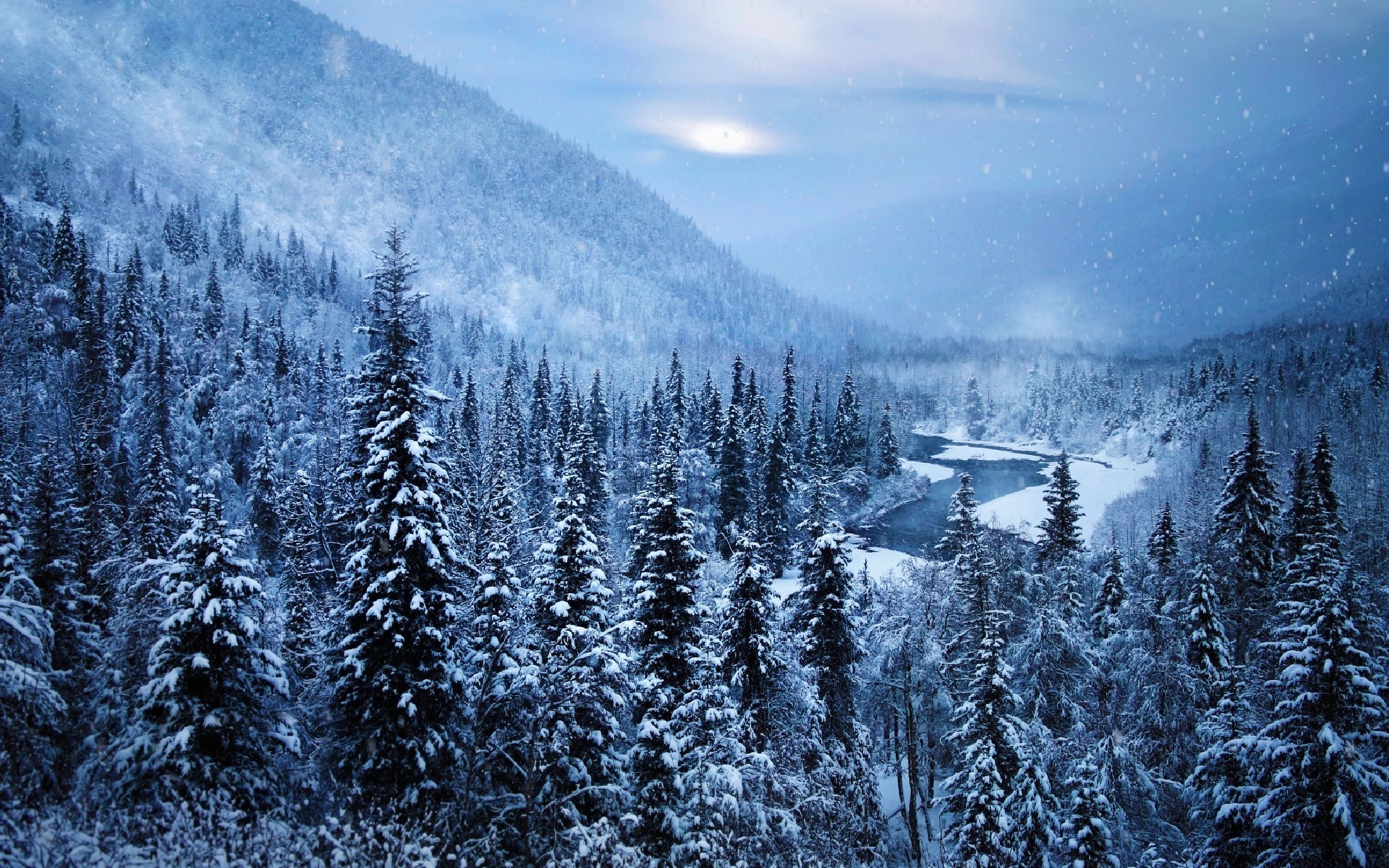 Beautiful Alaskan winter landscape [3840 x 2400]
