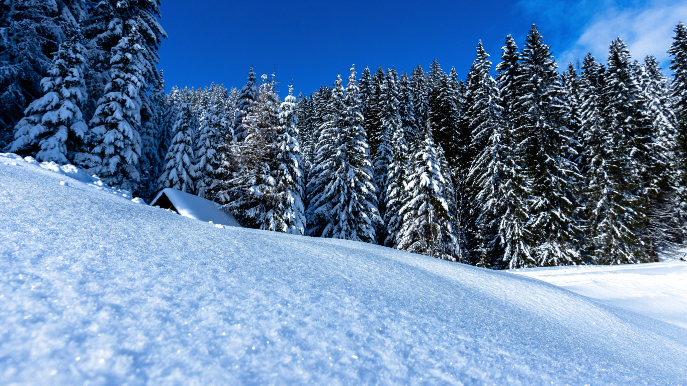 Download wallpaper: Winter landscape full of snow 1366x768