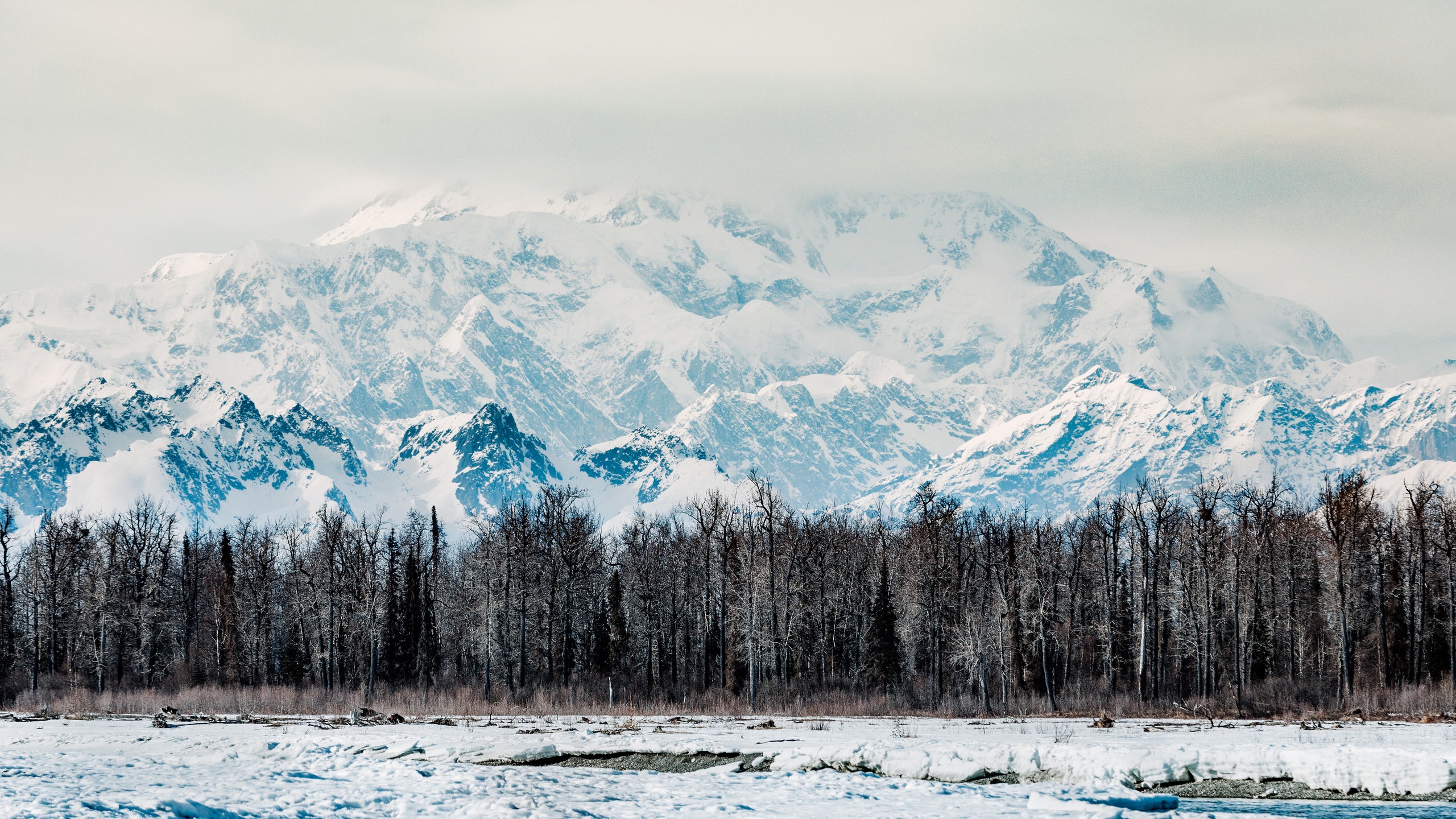 To Best Experience Alaska's Burgeoning Local Food Movement, Go in Winter. Condé Nast Traveler
