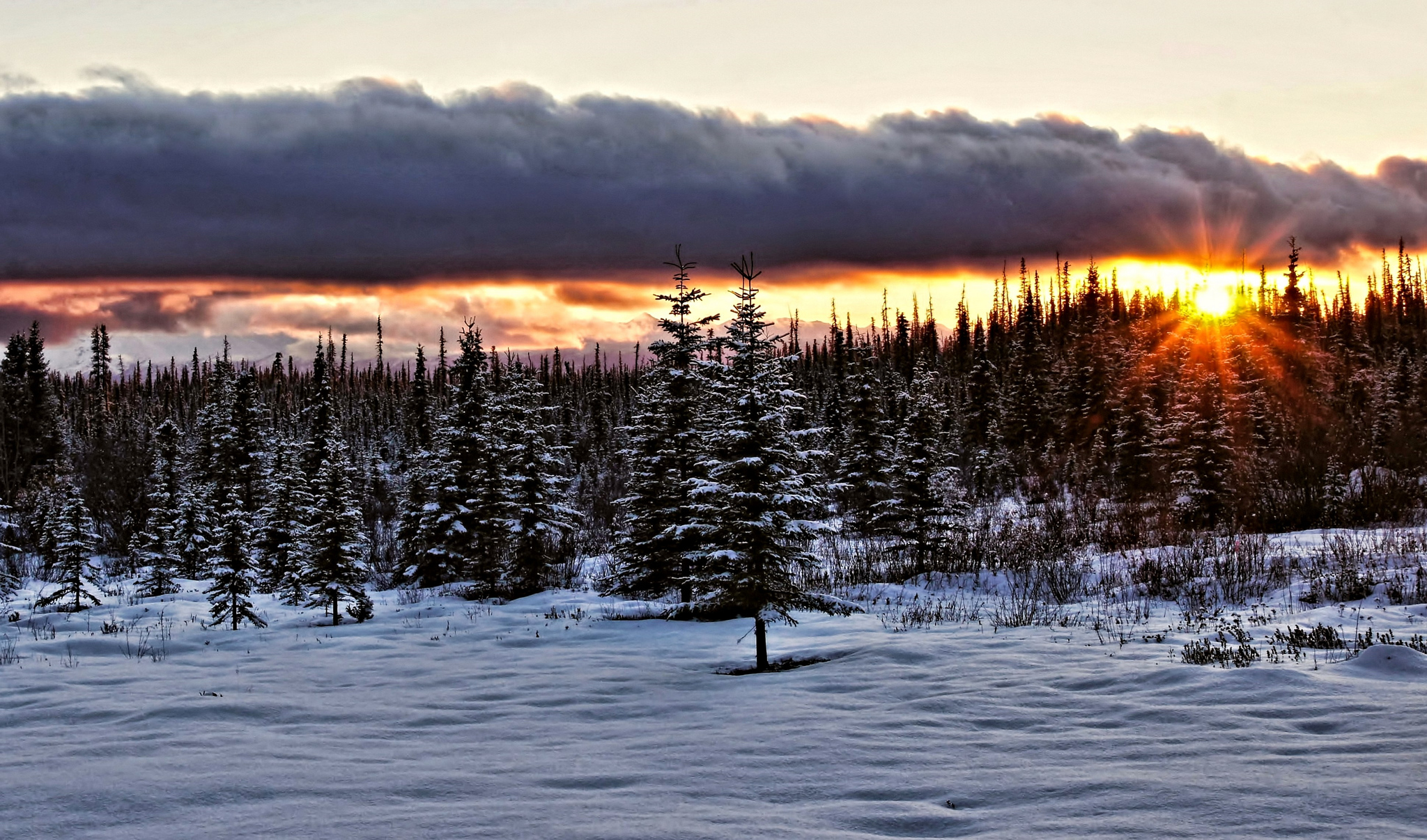 Mobile wallpaper: Winter, Nature, Sunset, Snow, Forest, Earth, Cloud, Alaska, Sunbeam, 736538 download the picture for free