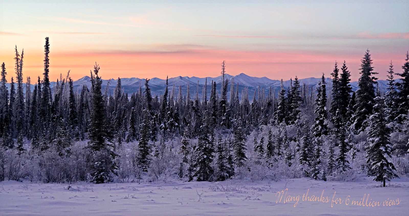 A beautiful winter morning in Alaska. While I was sound asl