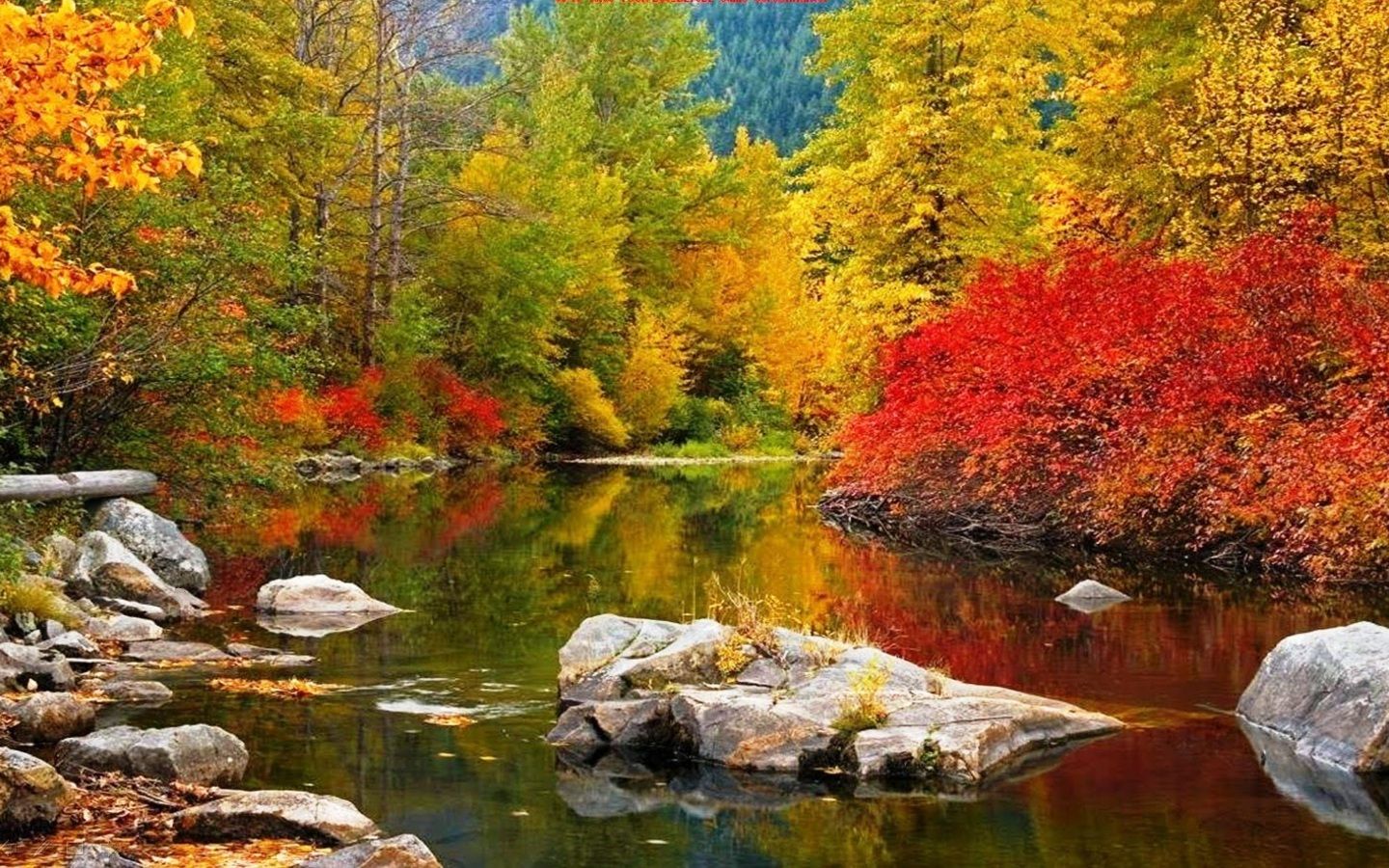 Autumn River. [Desktop wallpaper 1440x900]. Landscape wallpaper, Autumn scenery, Desktop wallpaper fall