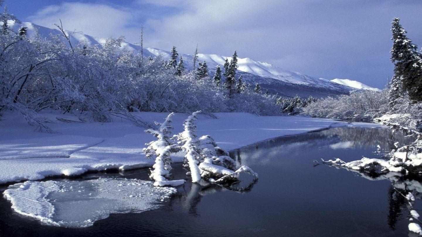 Alaska Winter Wallpaper. 照片图像