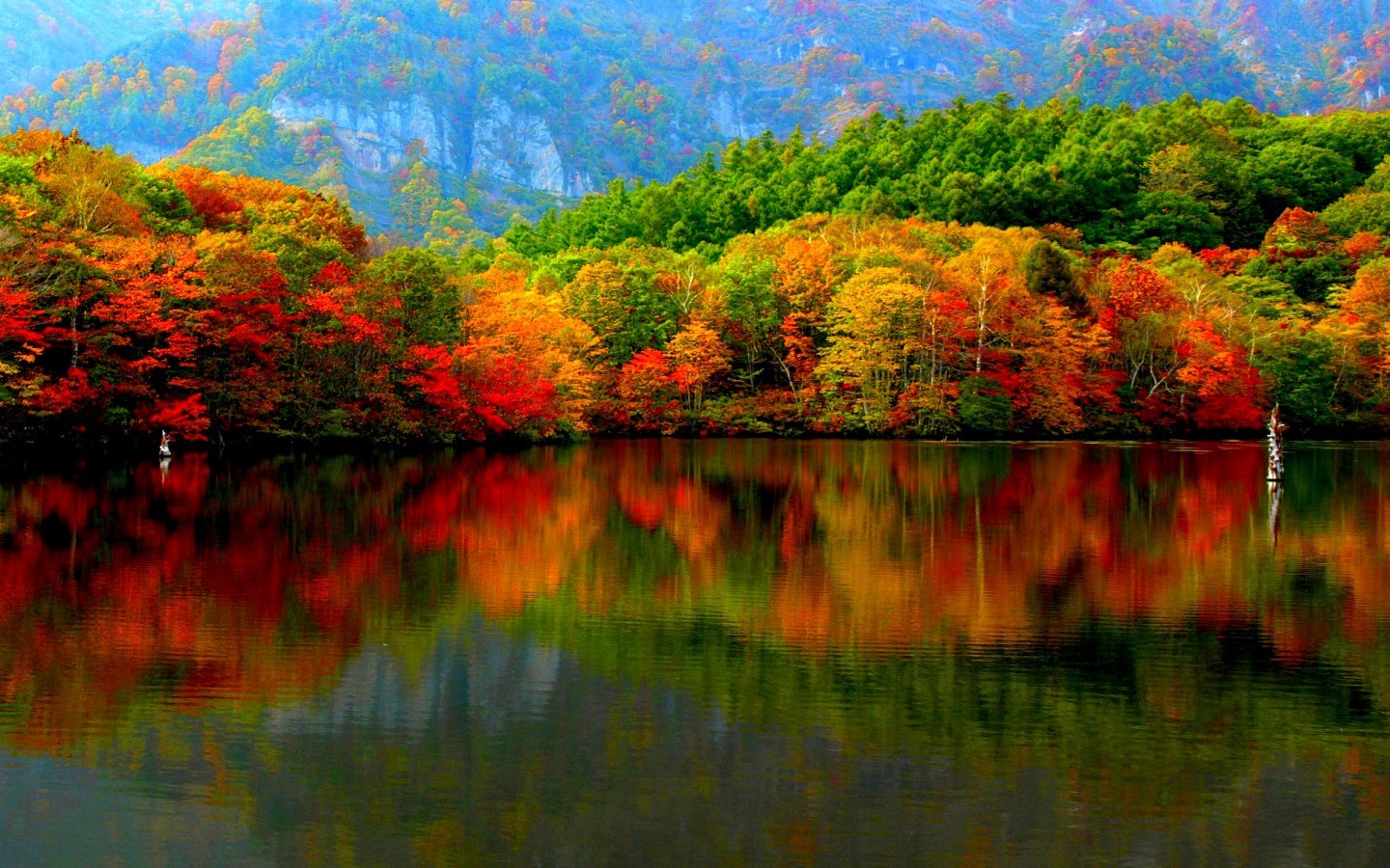 Mountain Autumn HD Wallpaper 1440x900