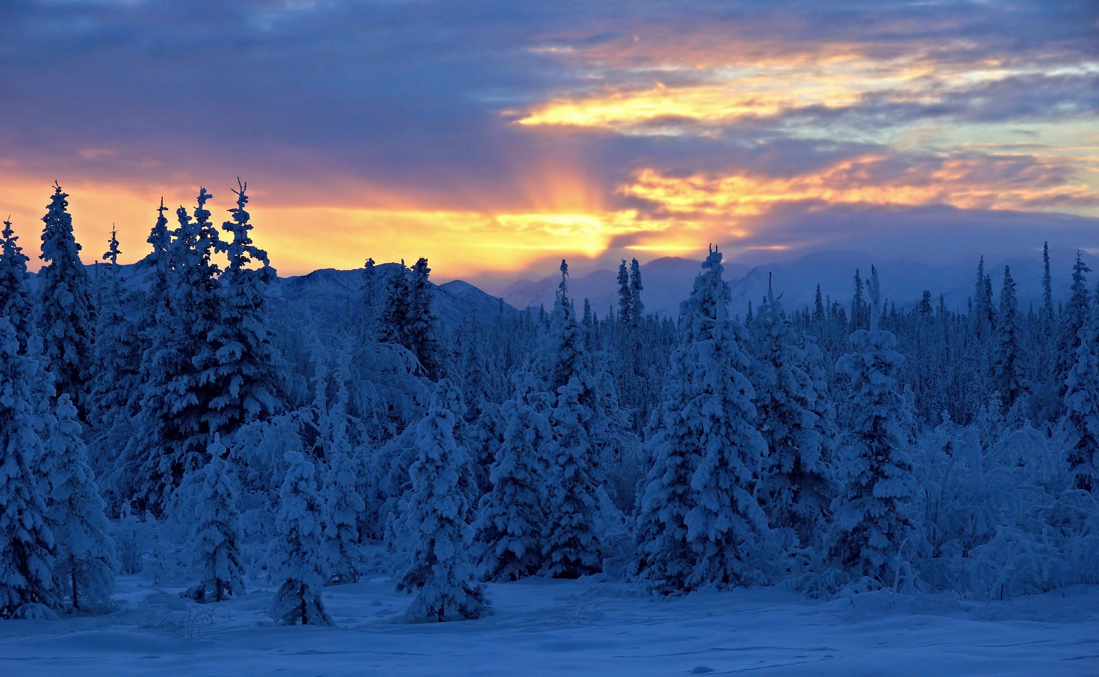 Winter Afternoon. “Winter is the time for comfort