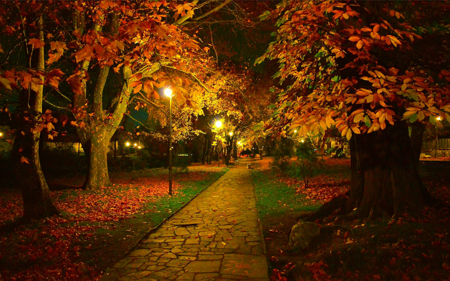 Download wallpaper Night, Autumn, Trees, Lights, Park, Fall, Foliage, Track, Night, Park, Autumn, Colors, Trees, Leaves, Path, section nature in resolution 1440x900