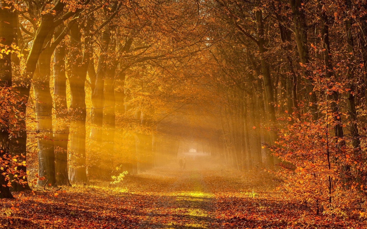 Fantastic Autumn Landscape 1440 x 900 widescreen Wallpaper