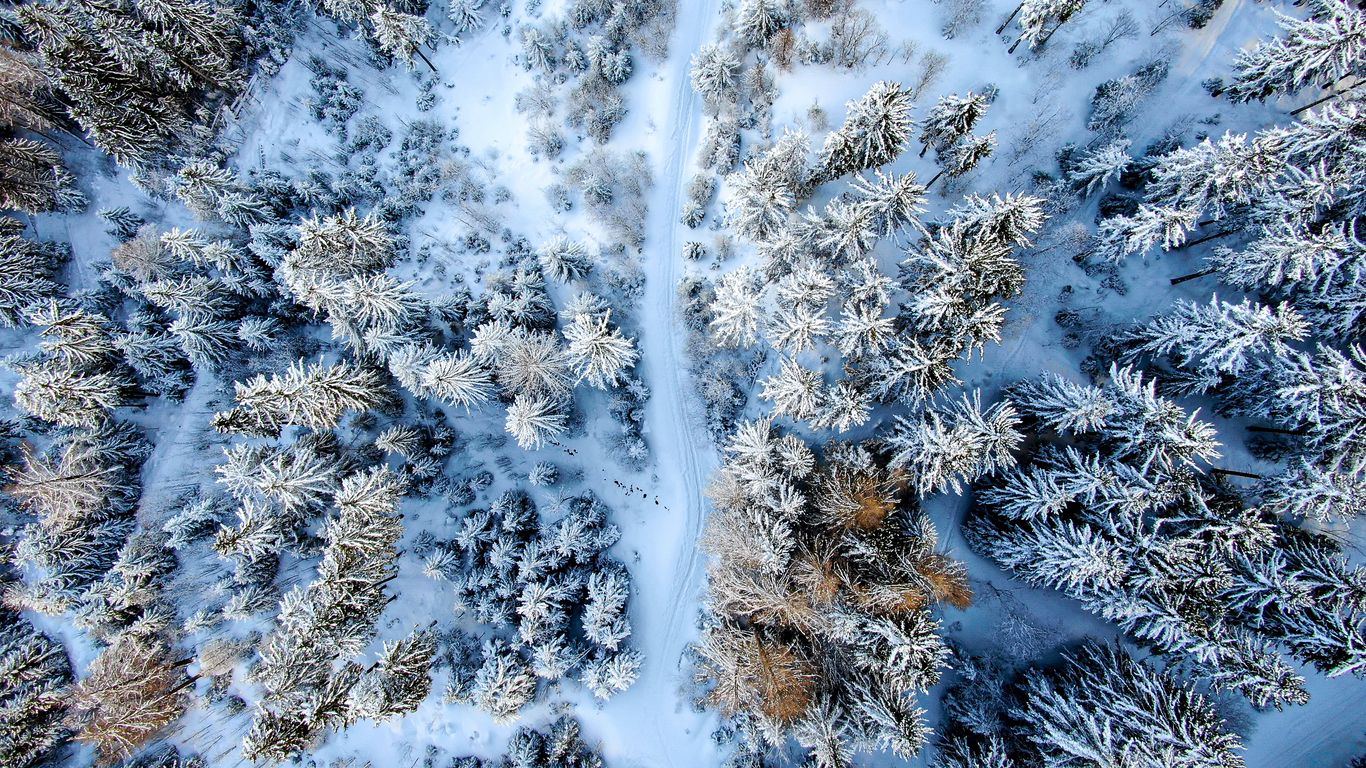 Download wallpaper 1366x768 winter forest, road, aerial view, snow tablet, laptop HD background