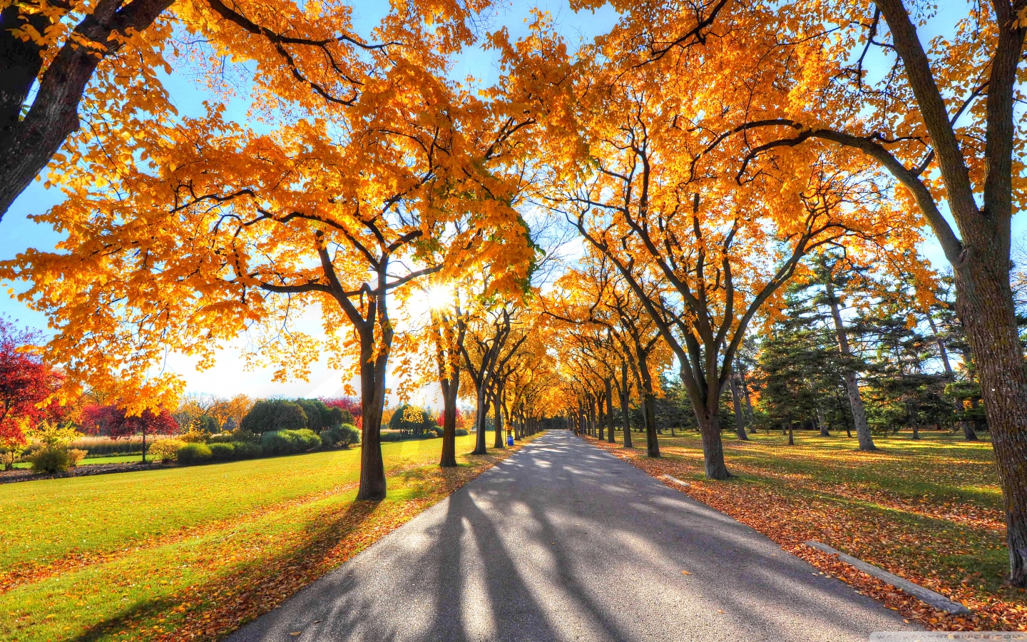 Park Landscape, Autumn Ultra HD Desktop Background Wallpaper for: Multi Display, Dual Monitor, Tablet