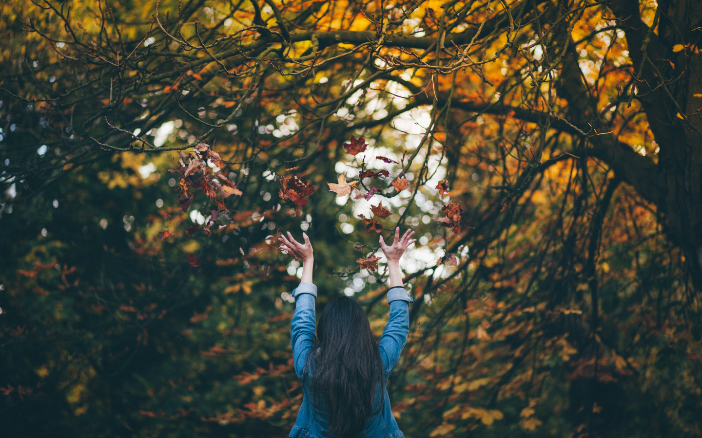 Download wallpaper: Girl enjoying Autumn 1440x900