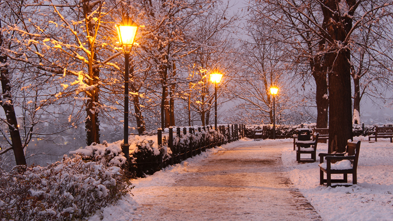 Image Czech Republic Brno Winter Nature park Snow Bench 1366x768