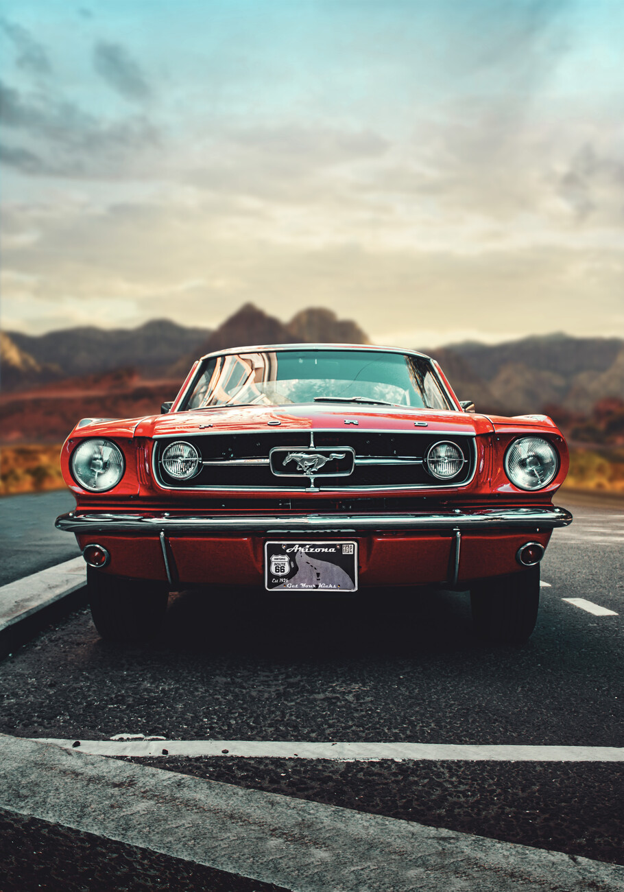 Mustang Love. Posters, Art Prints, Wall Murals. +250 000 motifs