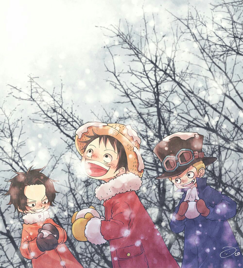 ASL in Winter. Anime, One piece anime, One piece picture