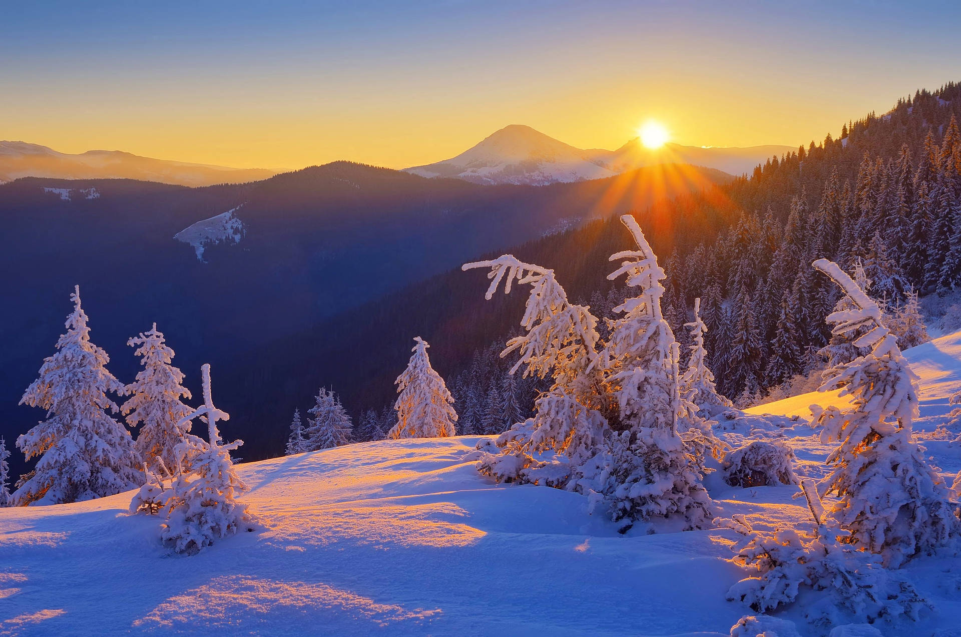 Download Ukraine Winter Mountain Wallpaper