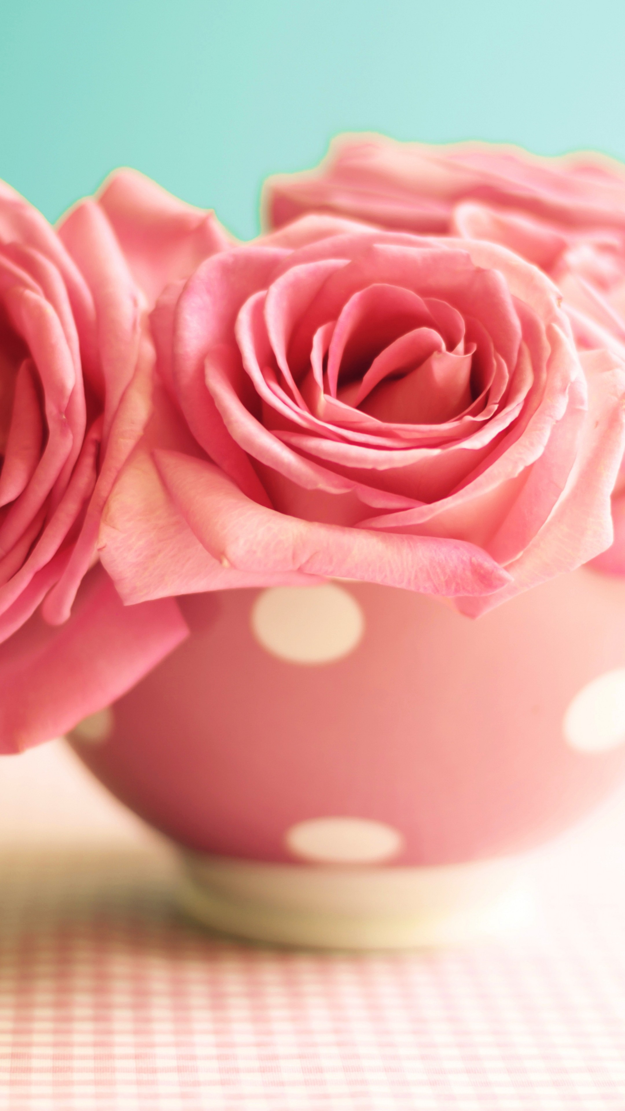Wallpaper Roses, 5k, 4k wallpaper, 8k, flowers, pink, mug, Nature