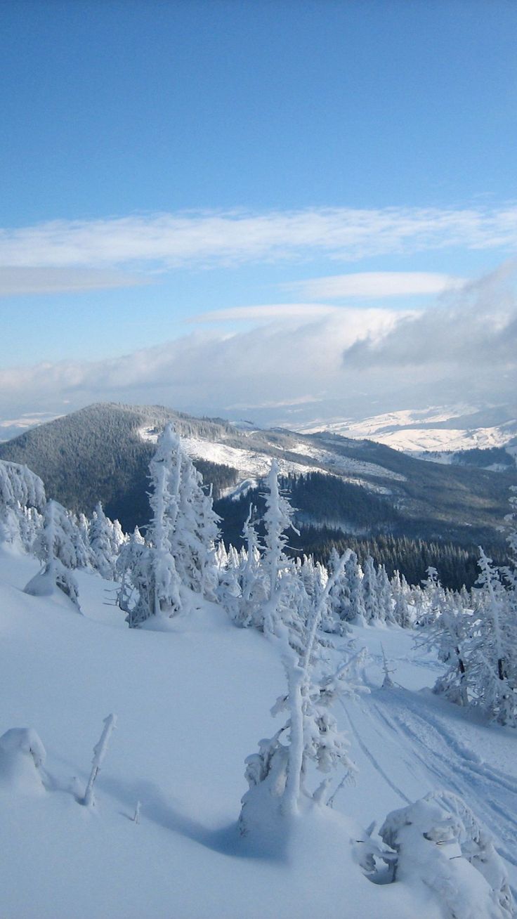 snow, carpathian mountains, the mountain stig, trees, ukraine, winter, svidovets, r. iPhone wallpaper mountains, Snow wallpaper iphone, Wallpaper iphone christmas