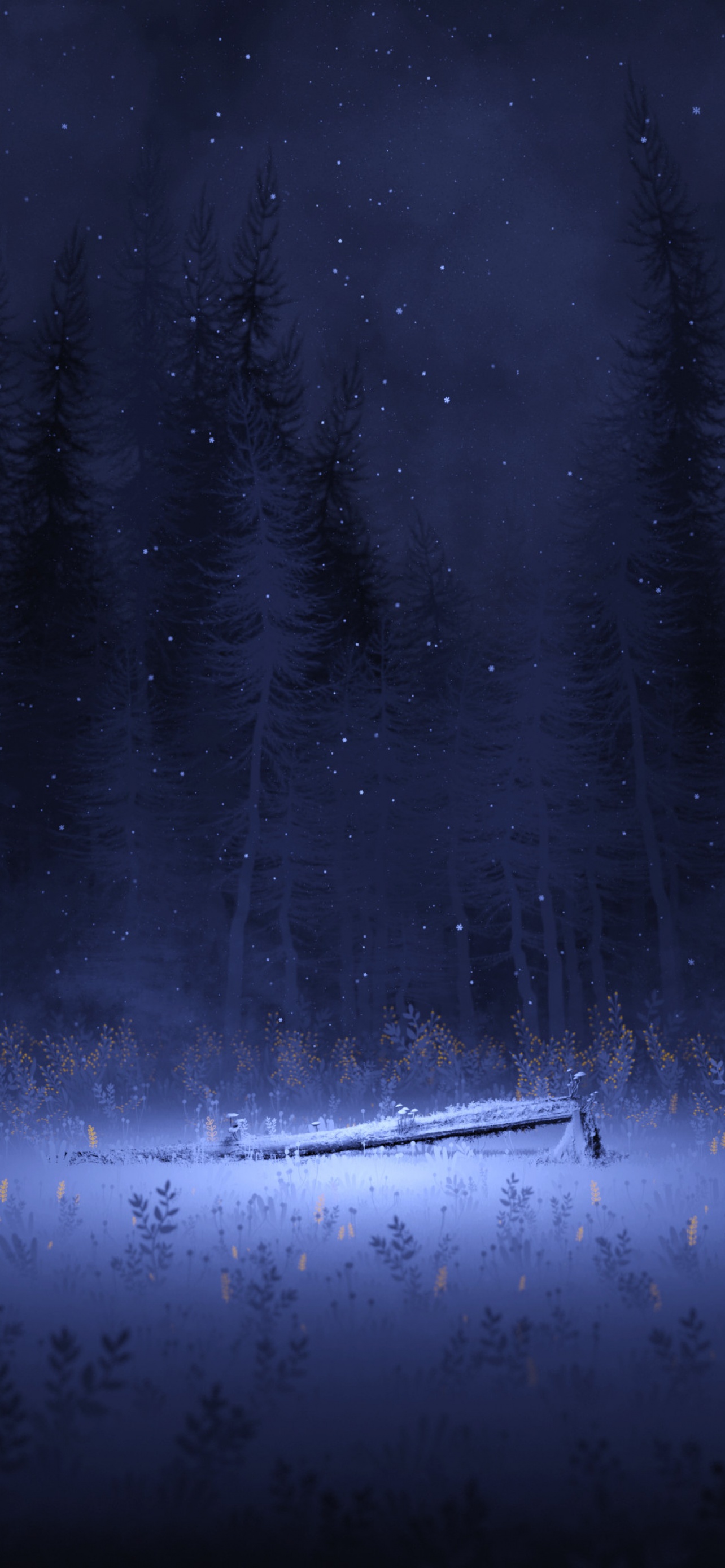 Light Wallpaper 4K, Night, Forest, Winter, Foggy