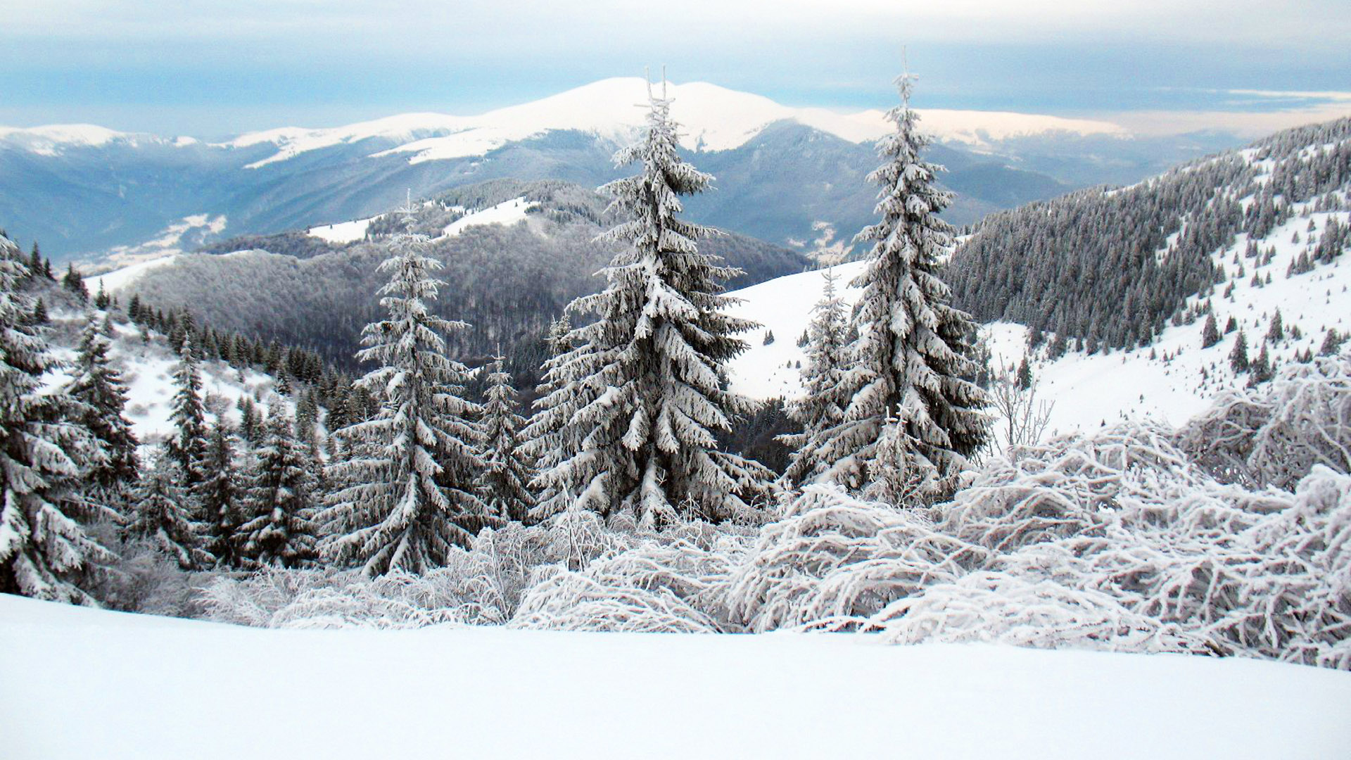 Winter Holidays In Ukraine: Immersion In Carpathian Fairy Tale