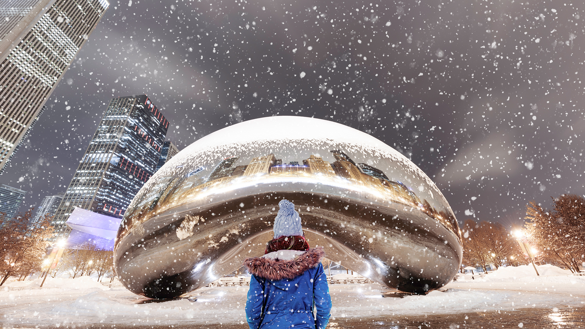 Chicago on a Winter's Day