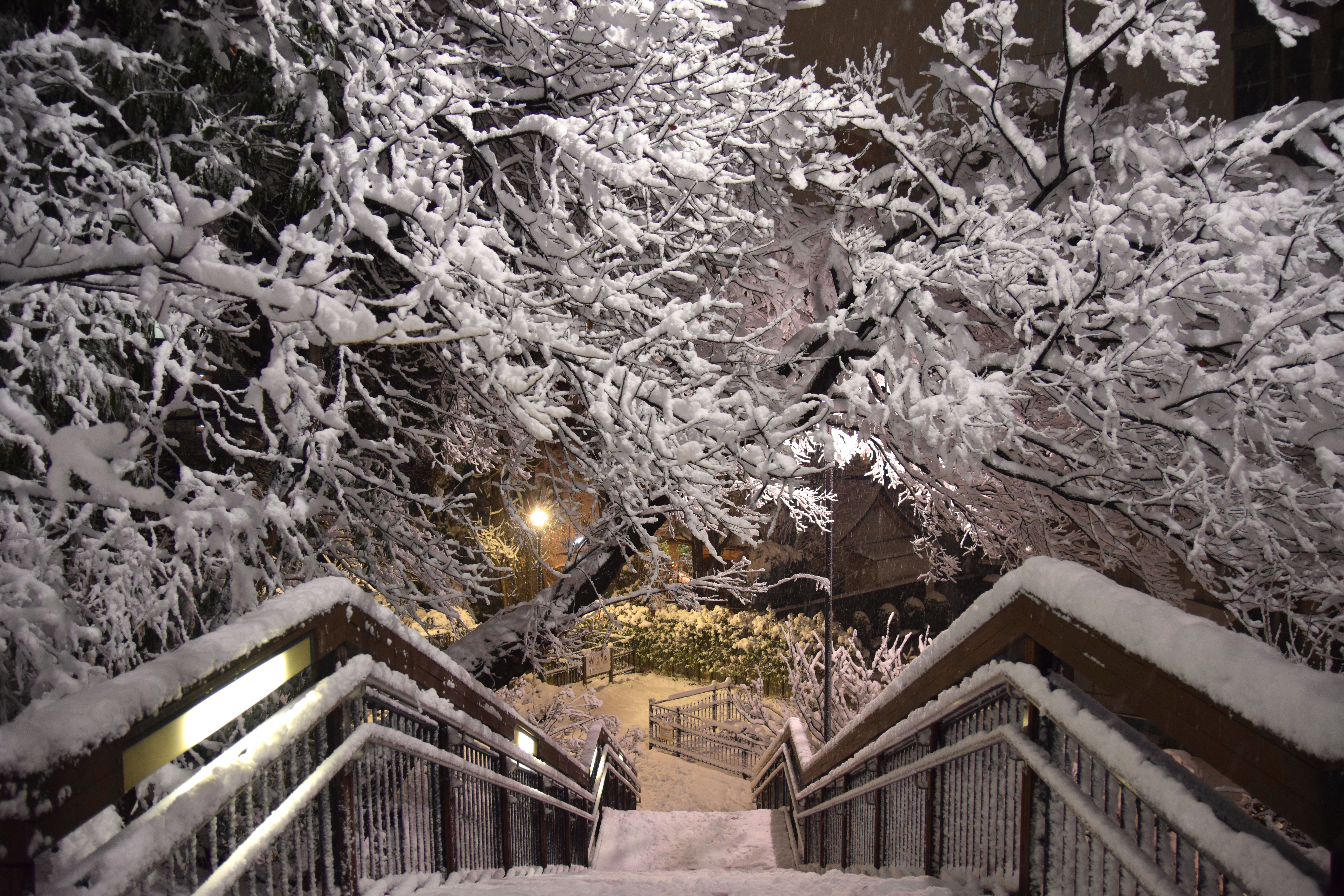 Snow in Tokyo, Japan; January