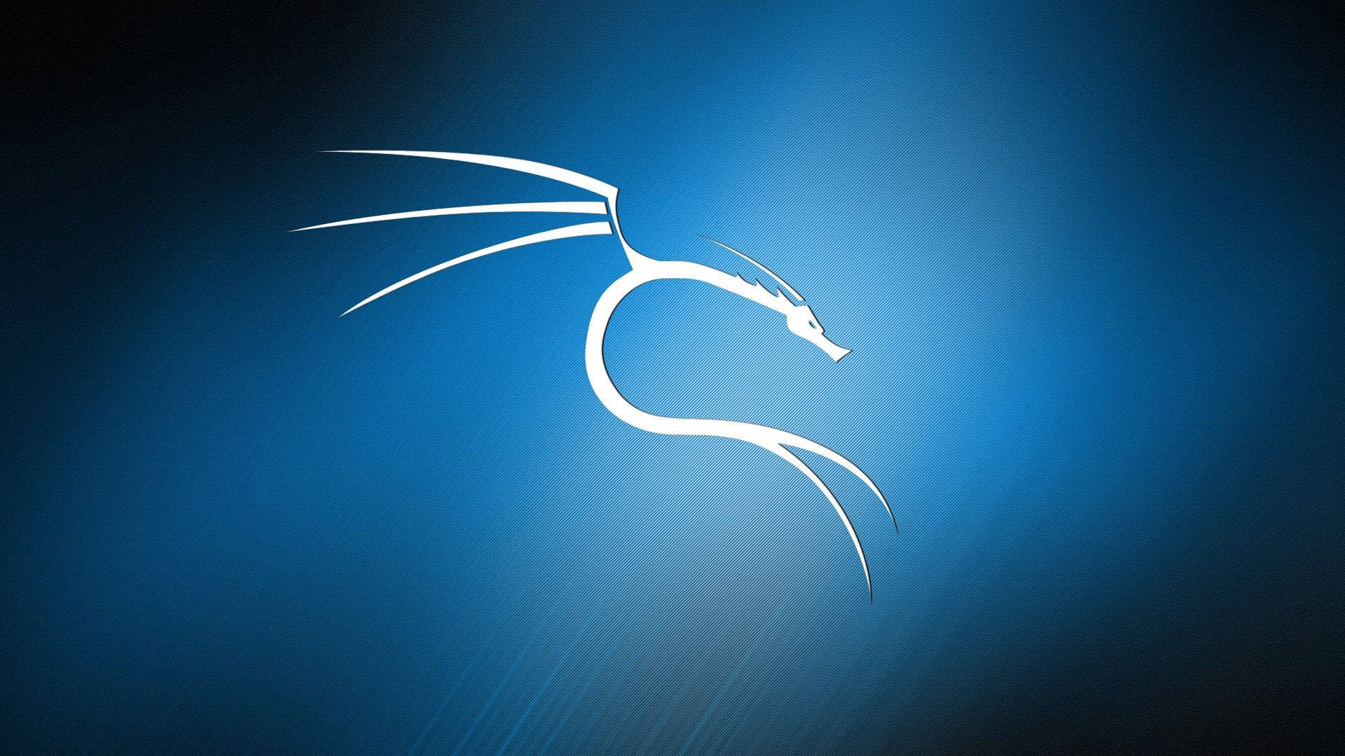Download Kali Linux Wallpaper
