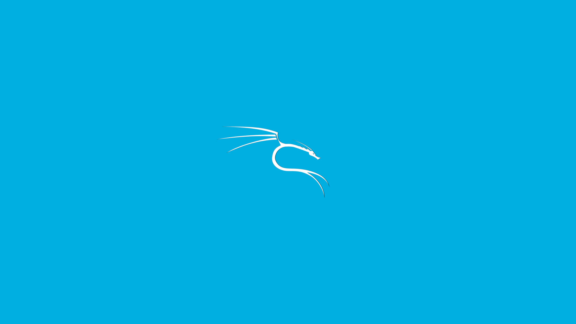 Download Kali Linux Wallpaper