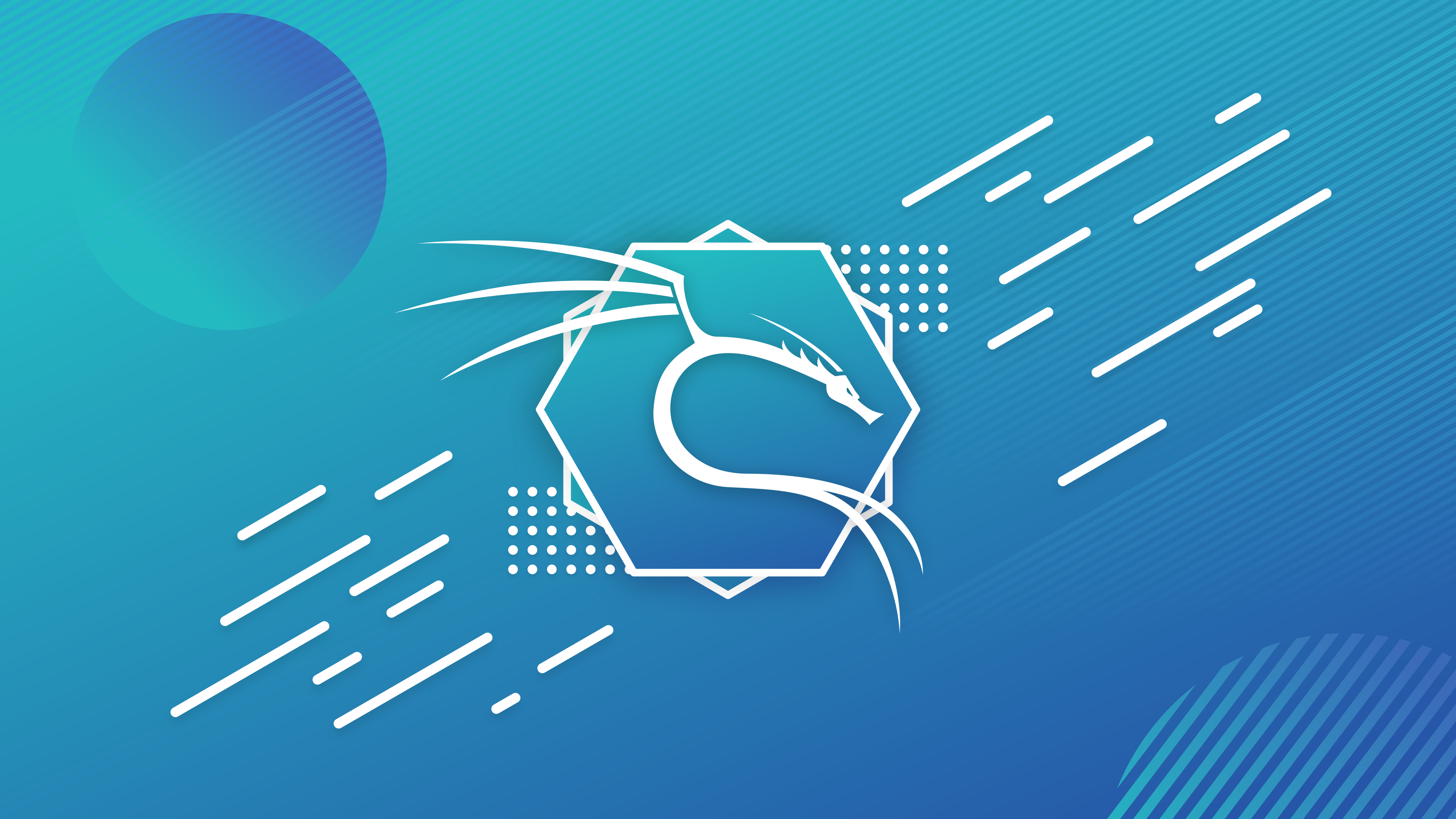 Kali Linux, Backtrack Linux, Linux, blue background, operating systemx2160 Wallpaper