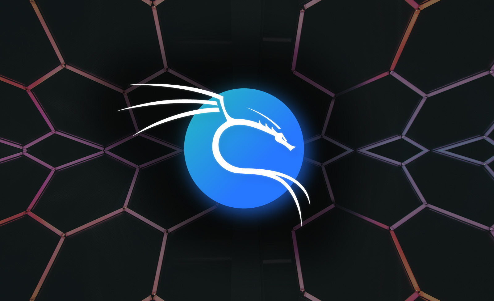 Kali Linux 2022.3 released: Packages for test labs, new tools, and a community Discord server Net Security